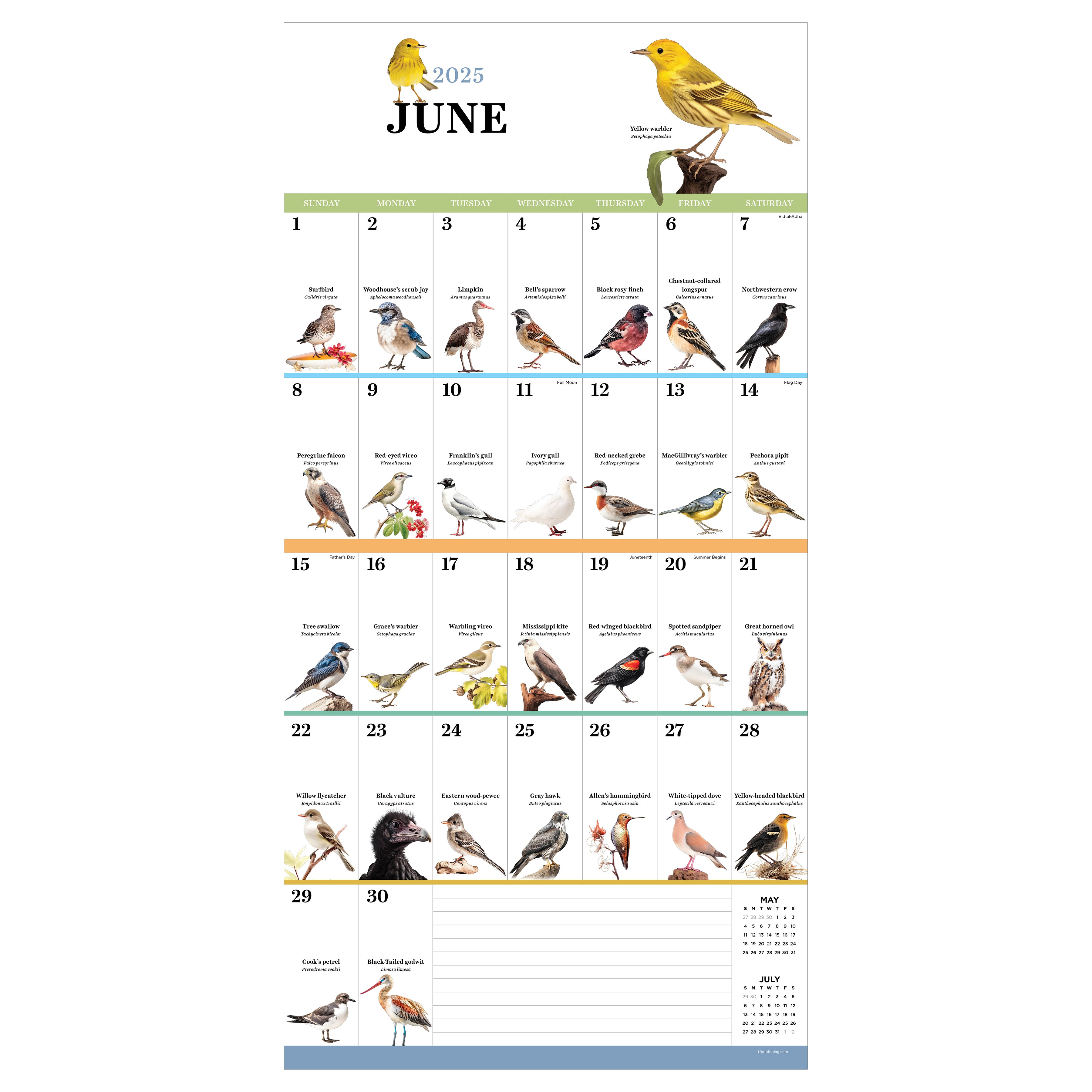 2025 Birds: Backyard and Beyond Wall Calendar SELWII