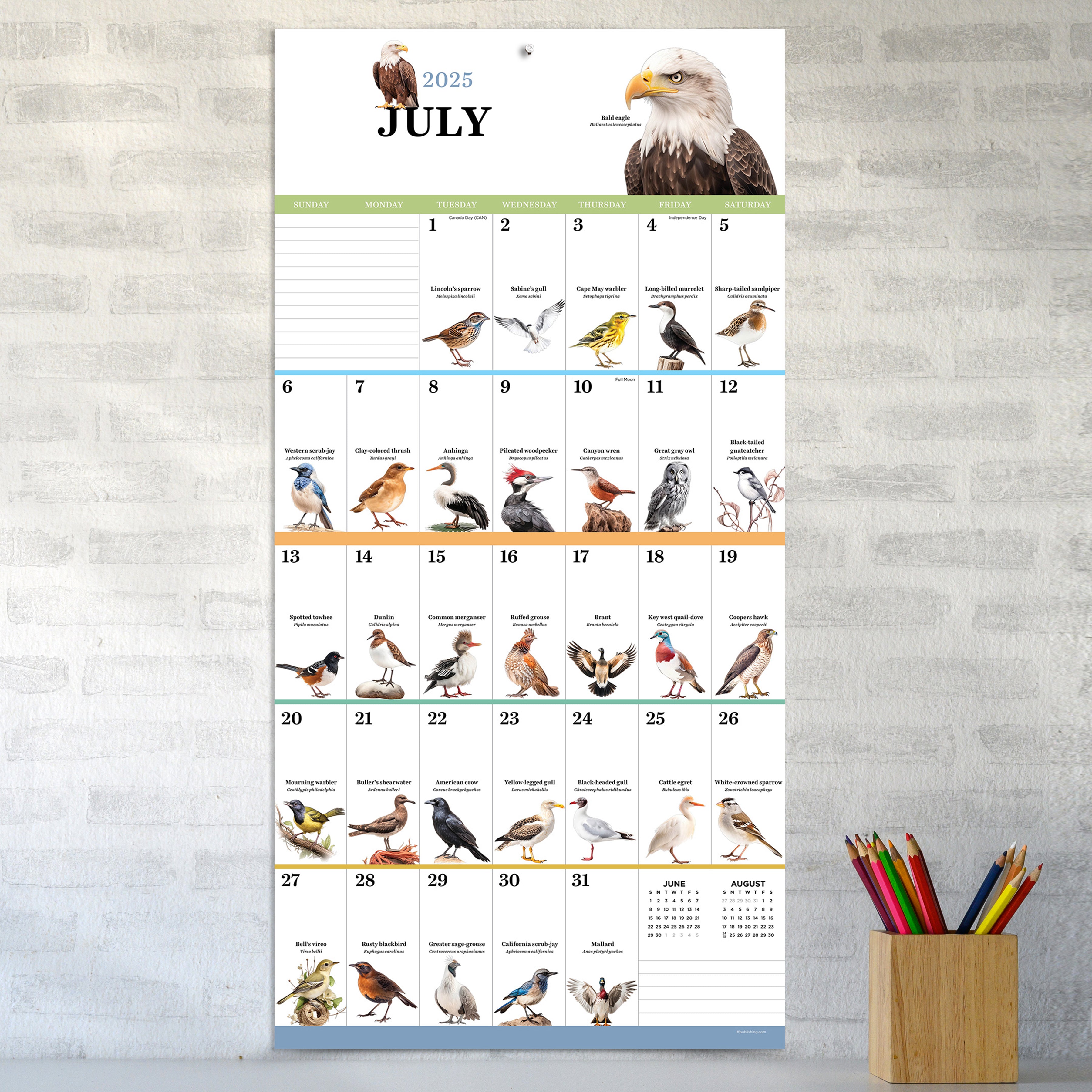 2025 Birds: Backyard and Beyond Wall Calendar SELWII