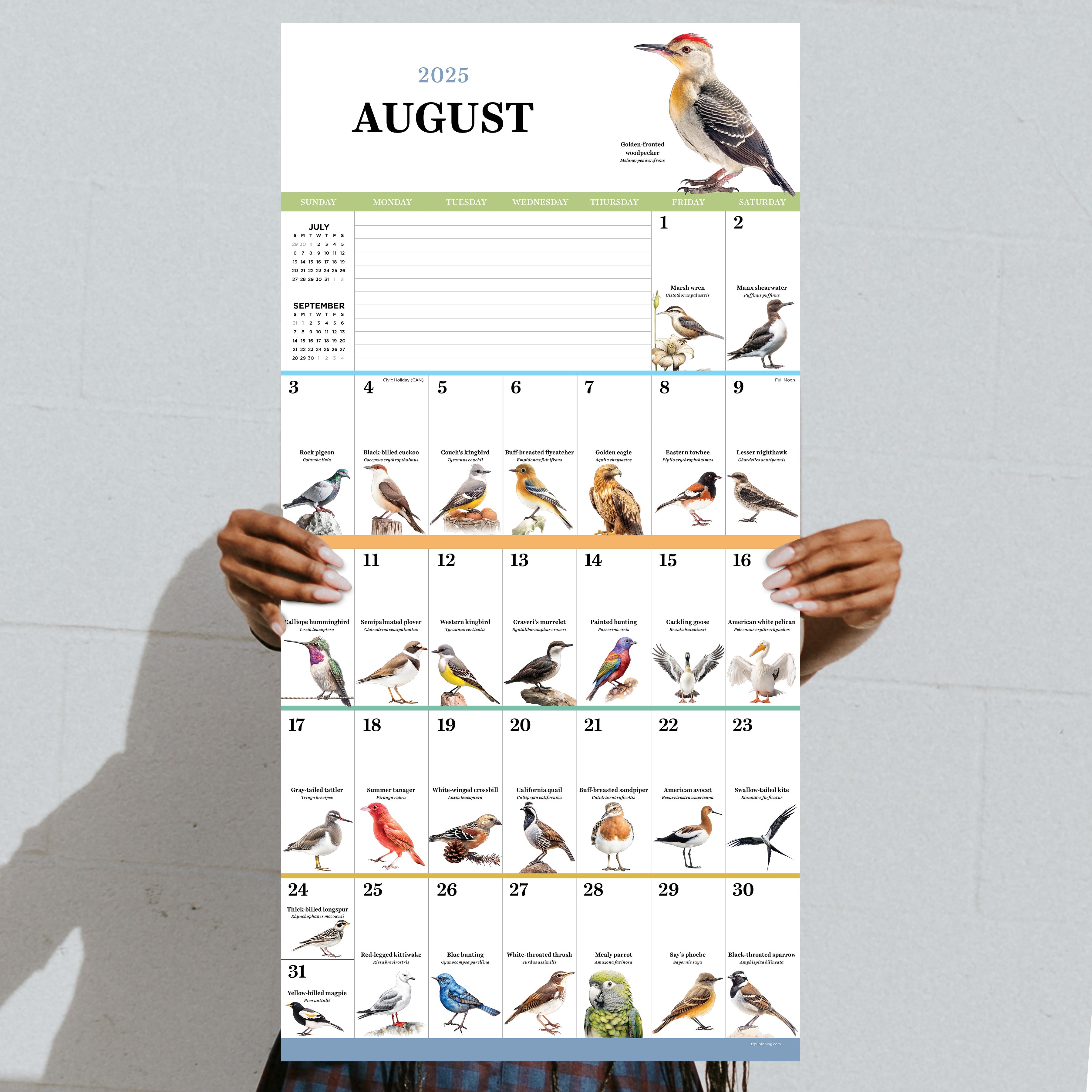 2025 Birds: Backyard and Beyond Wall Calendar SELWII