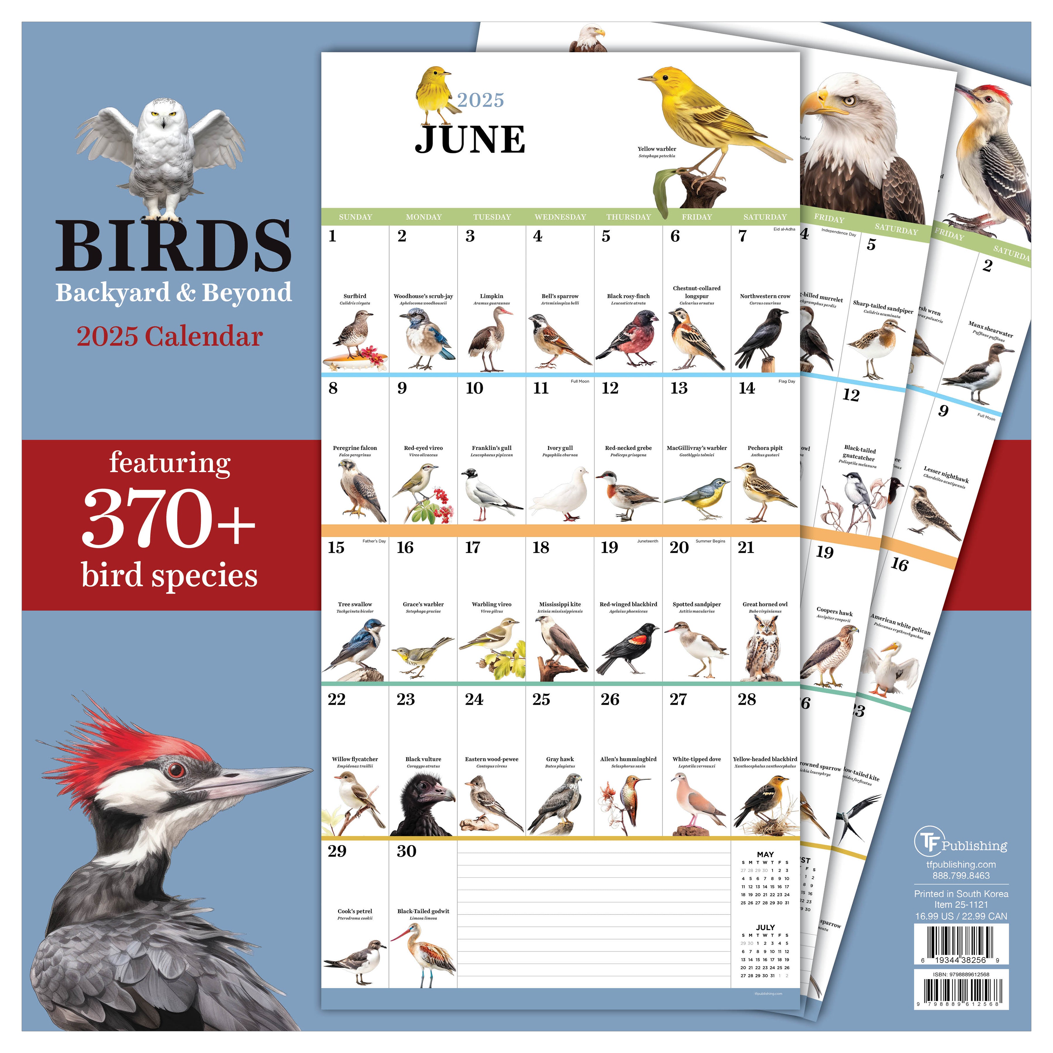 2025 Birds: Backyard and Beyond Wall Calendar SELWII