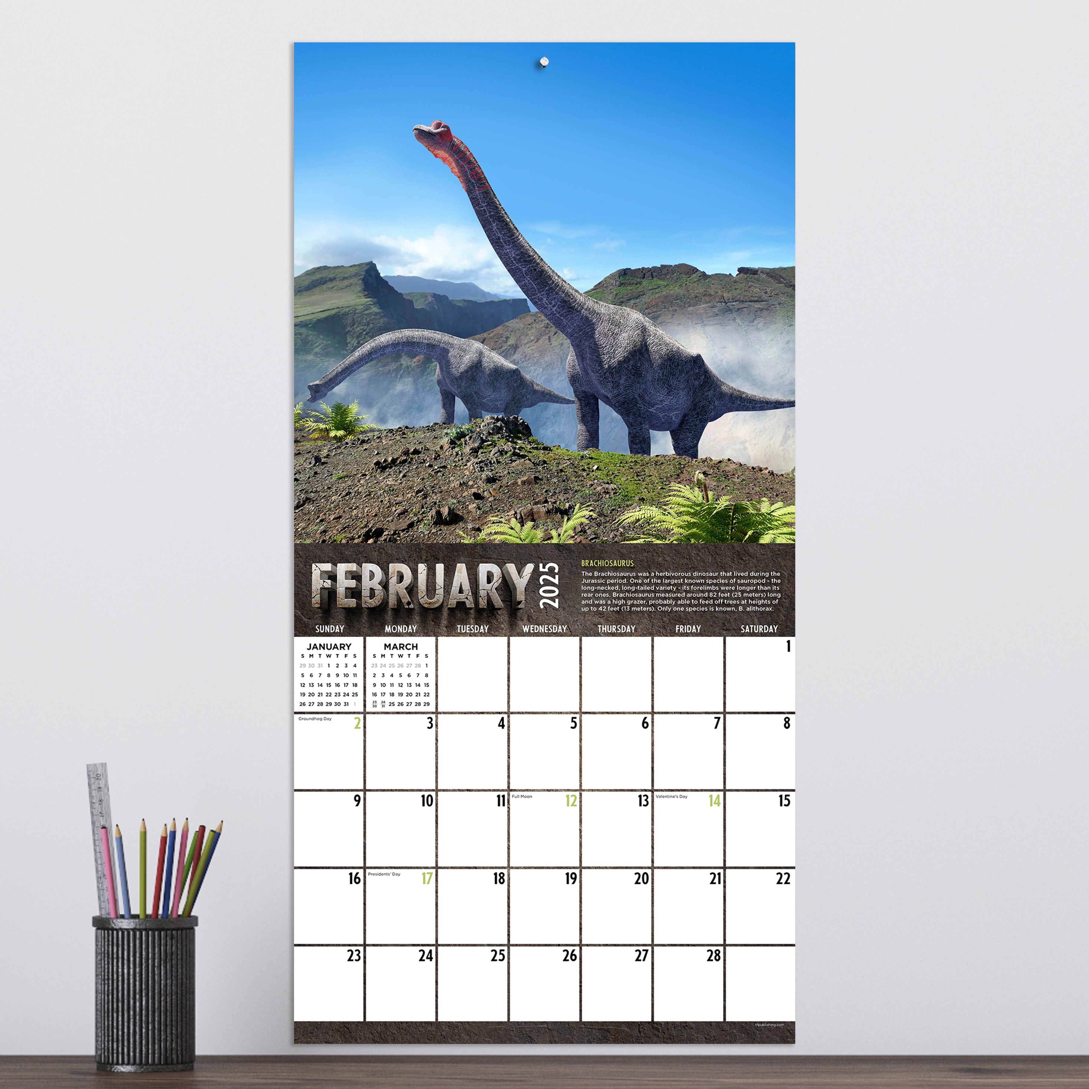 2025 Dinosaurs Wall Calendar SELWII