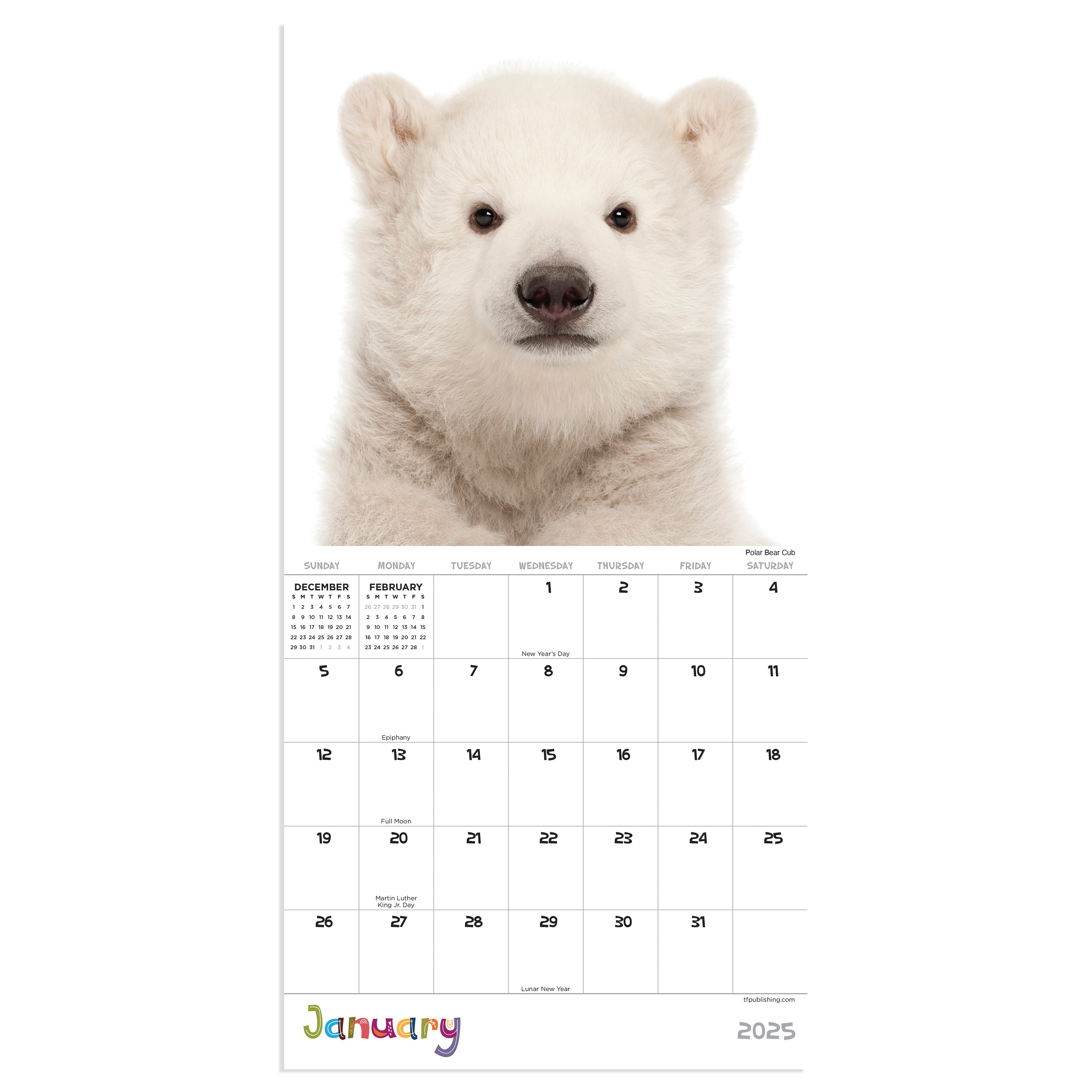 2025 Baby Animals Mini Calendar SELWII