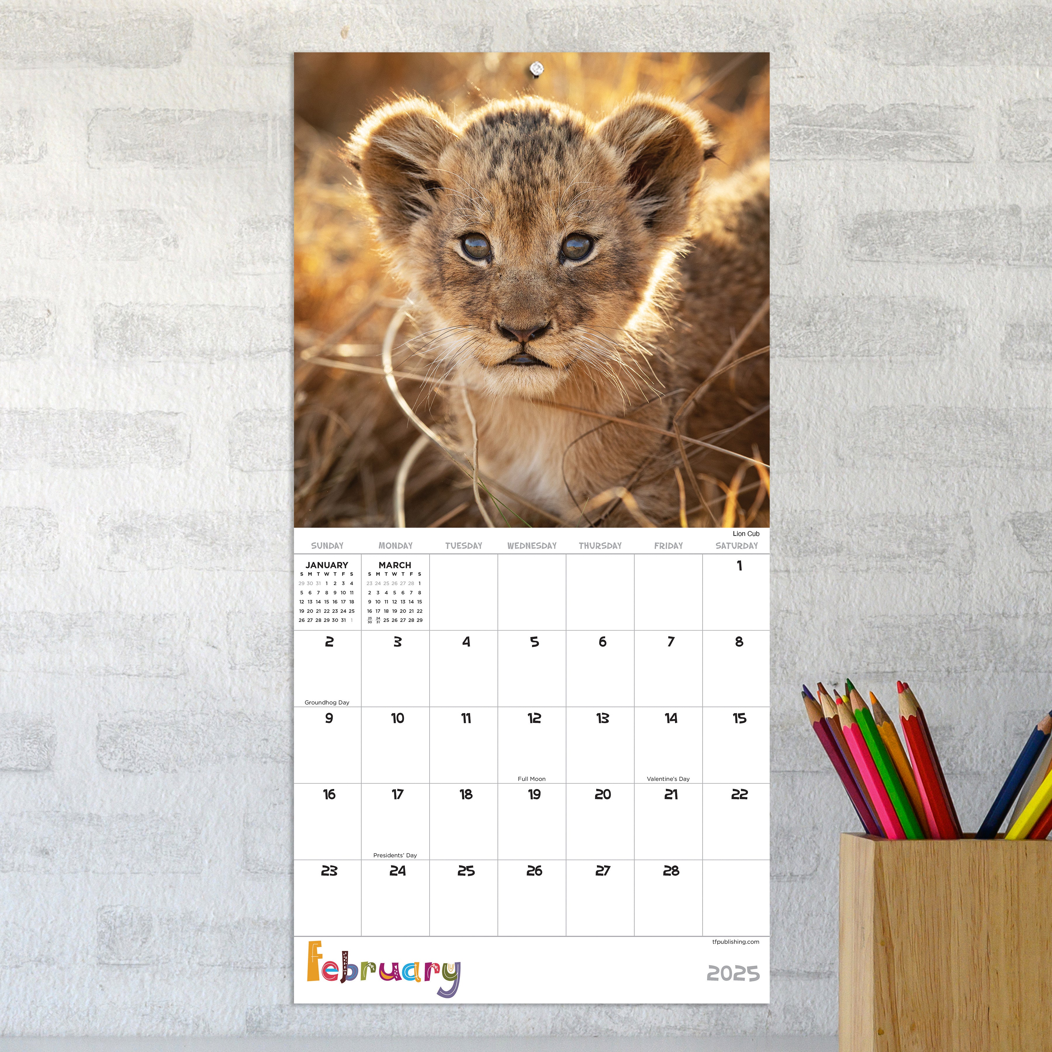 2025 Baby Animals Mini Calendar SELWII