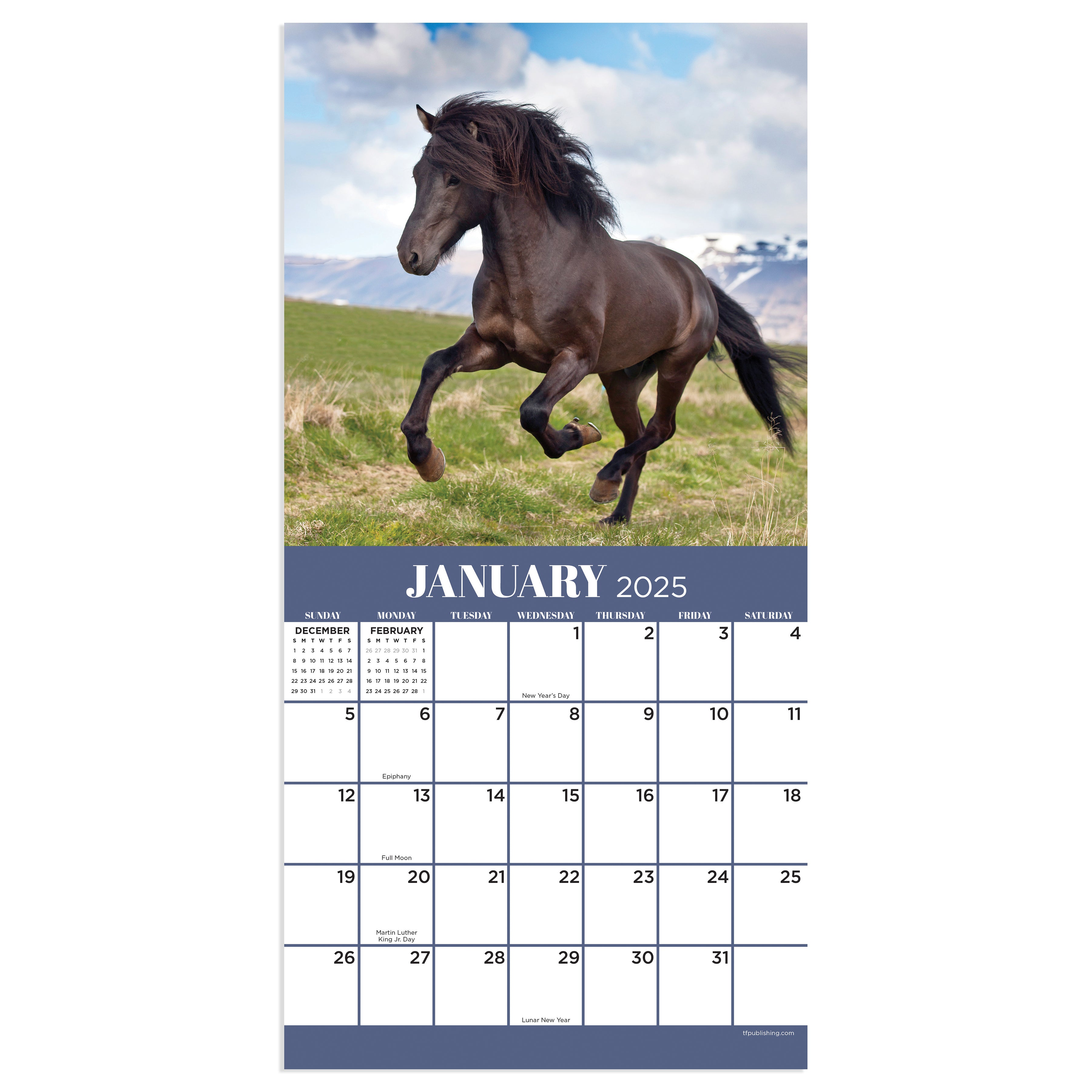 2025 Horses Mini Calendar SELWII