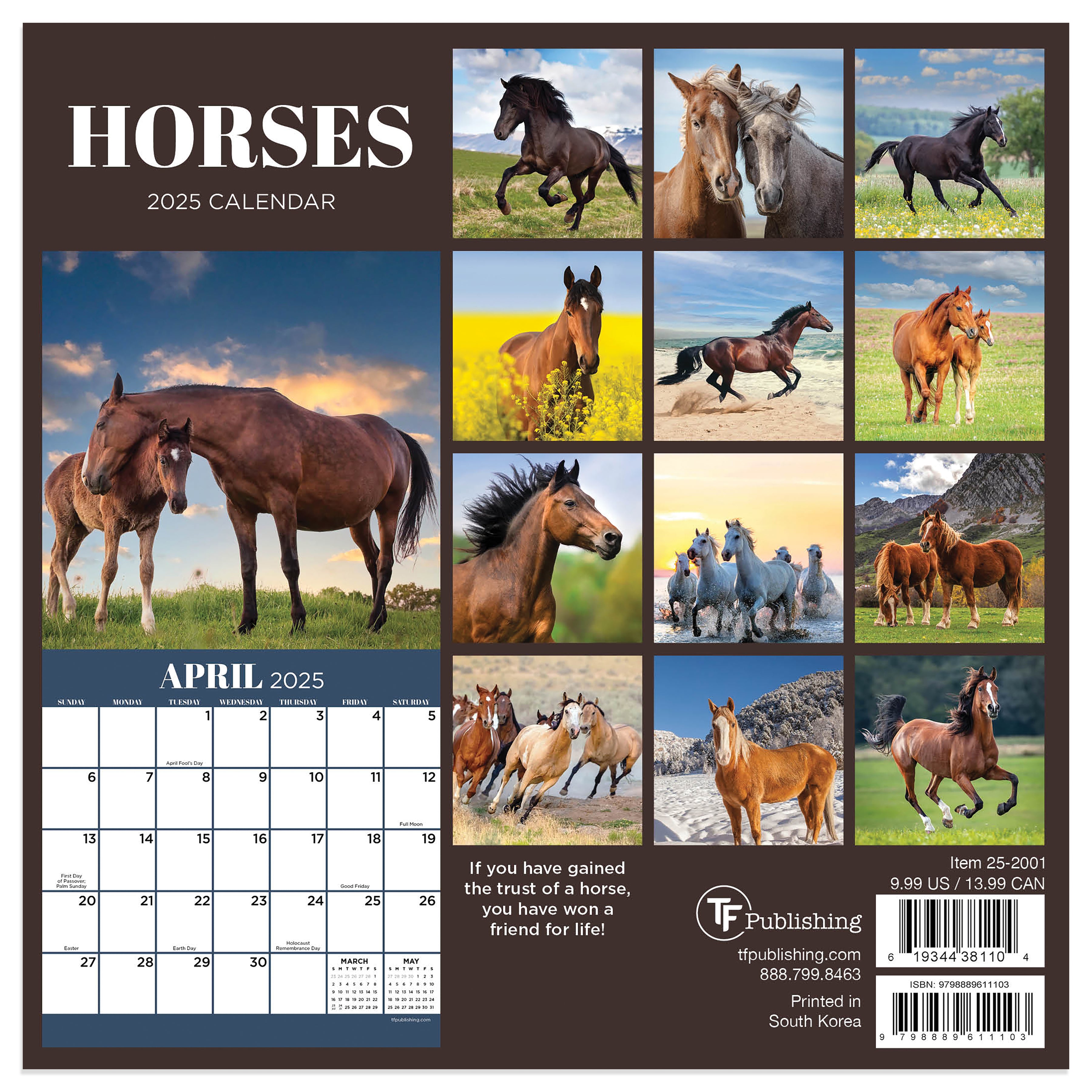 2025 Horses Mini Calendar SELWII