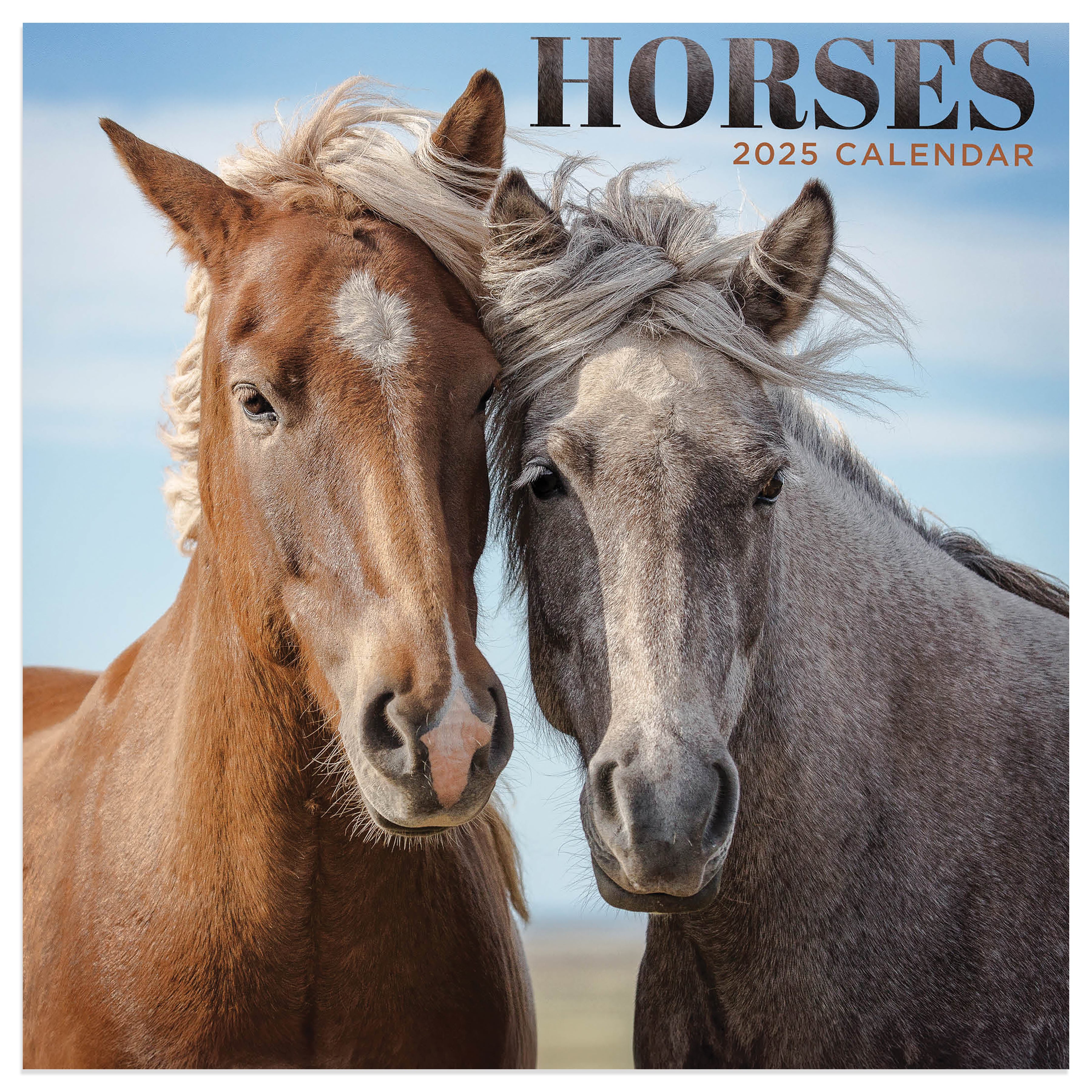 2025 Horses Mini Calendar SELWII