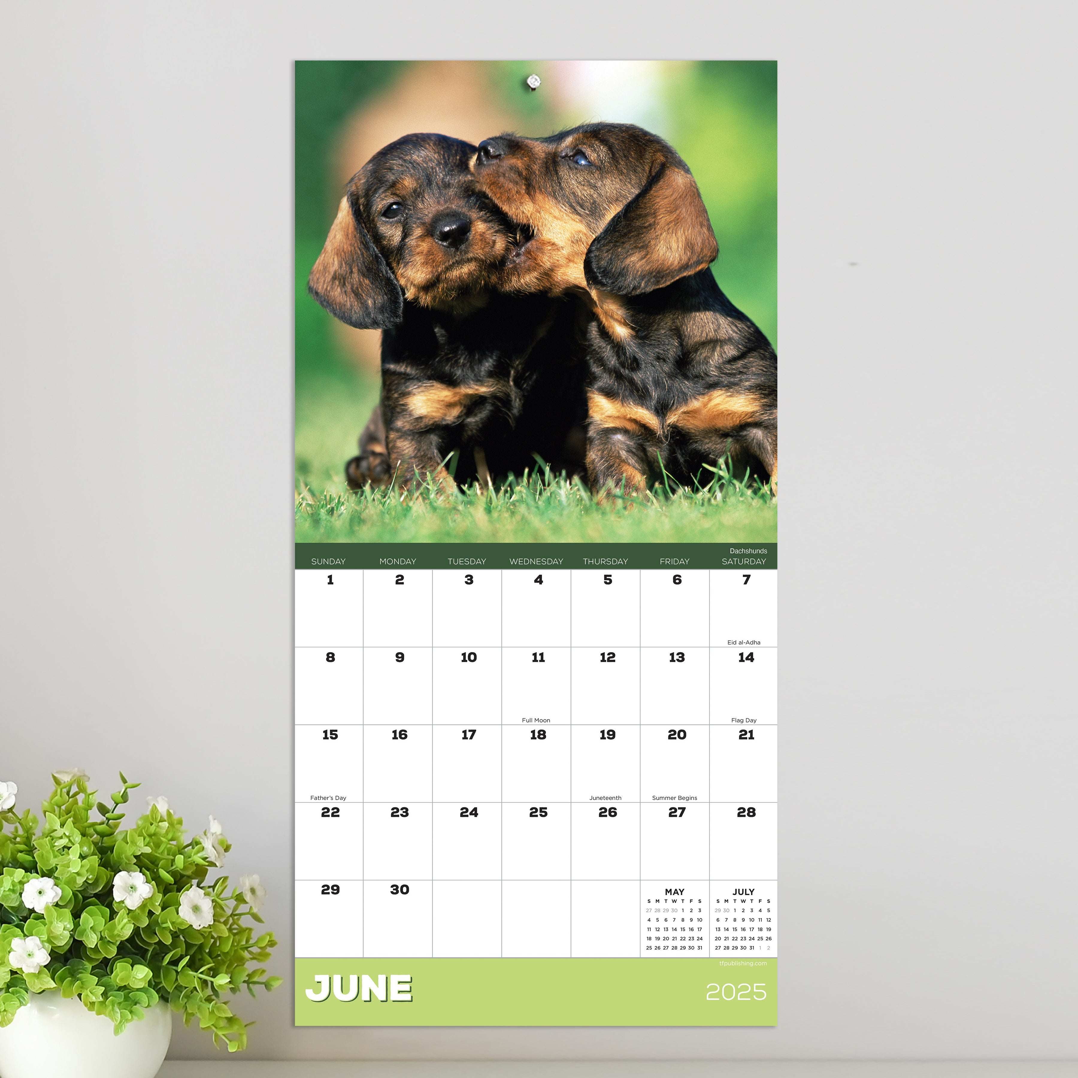 2025 Puppies Mini Calendar SELWII