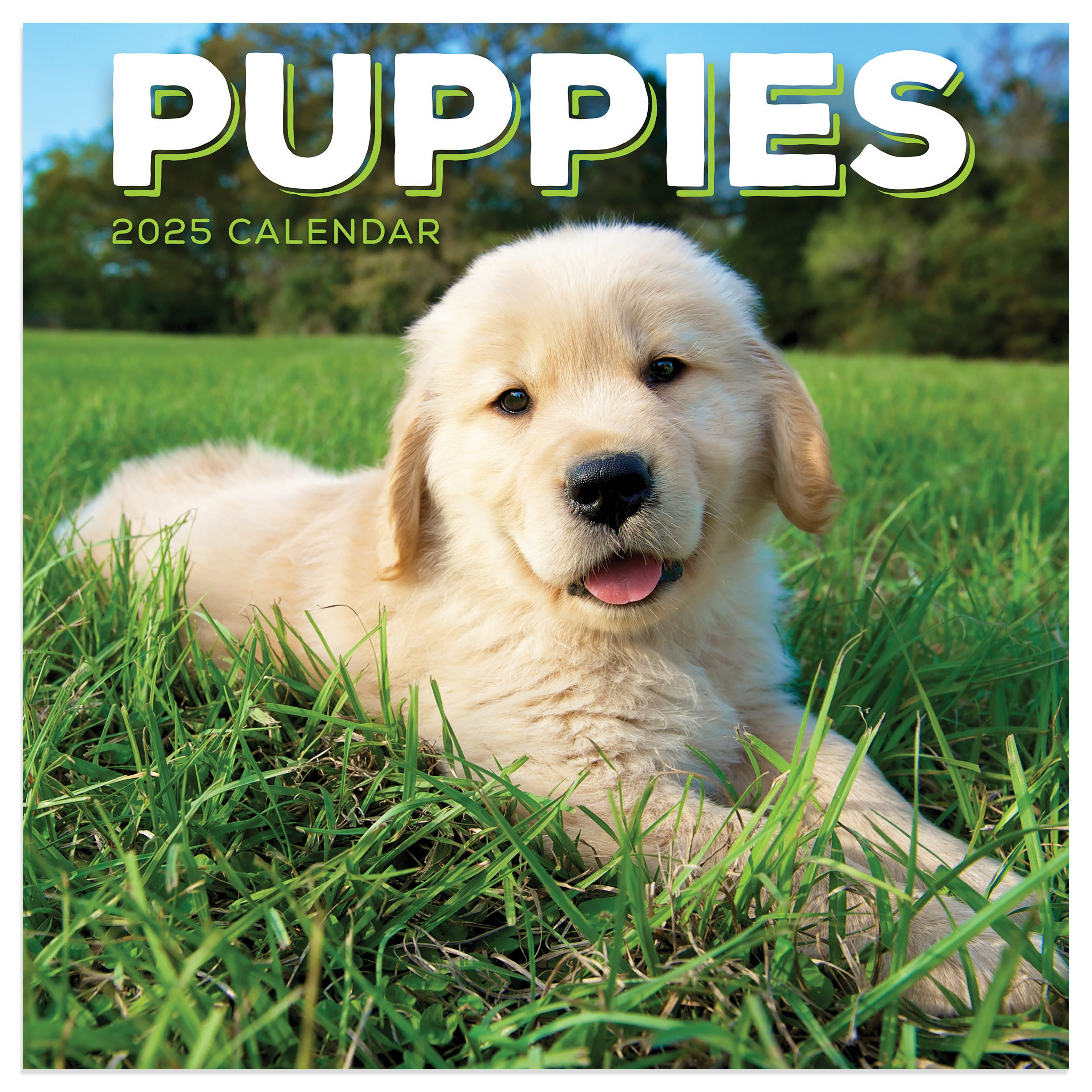 2025 Puppies Mini Calendar SELWII