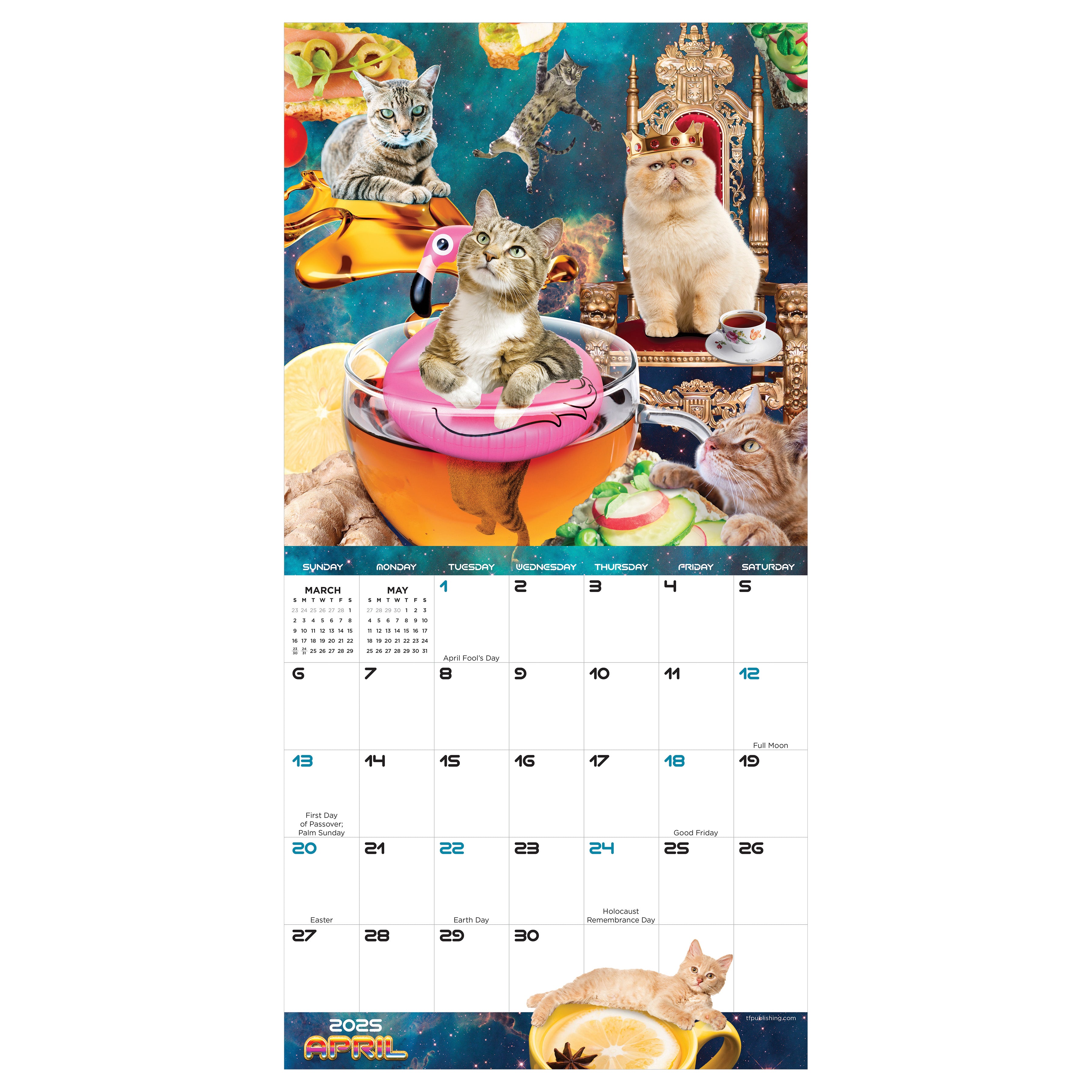 2025 Space Cats Mini Calendar SELWII