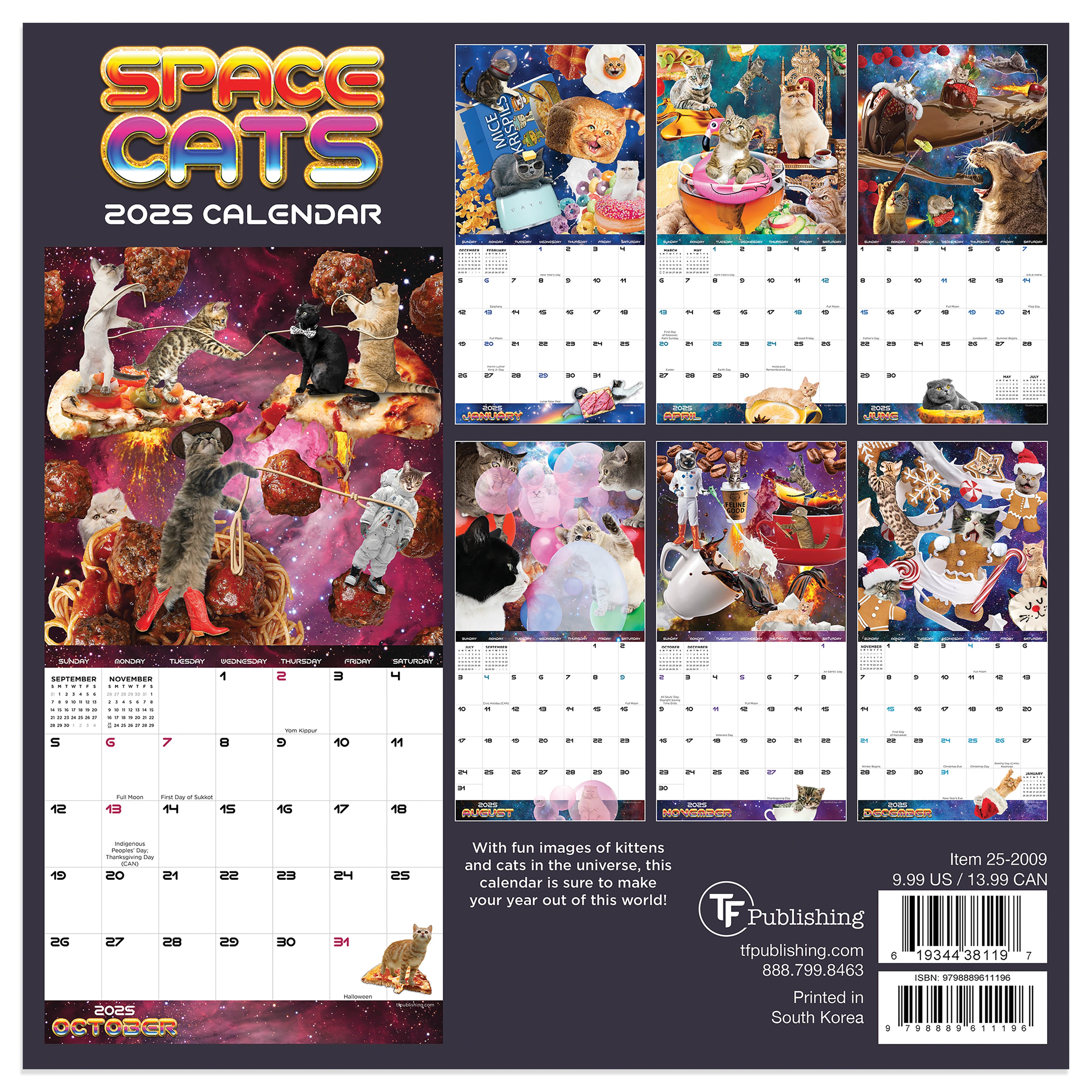 2025 Space Cats Mini Calendar SELWII