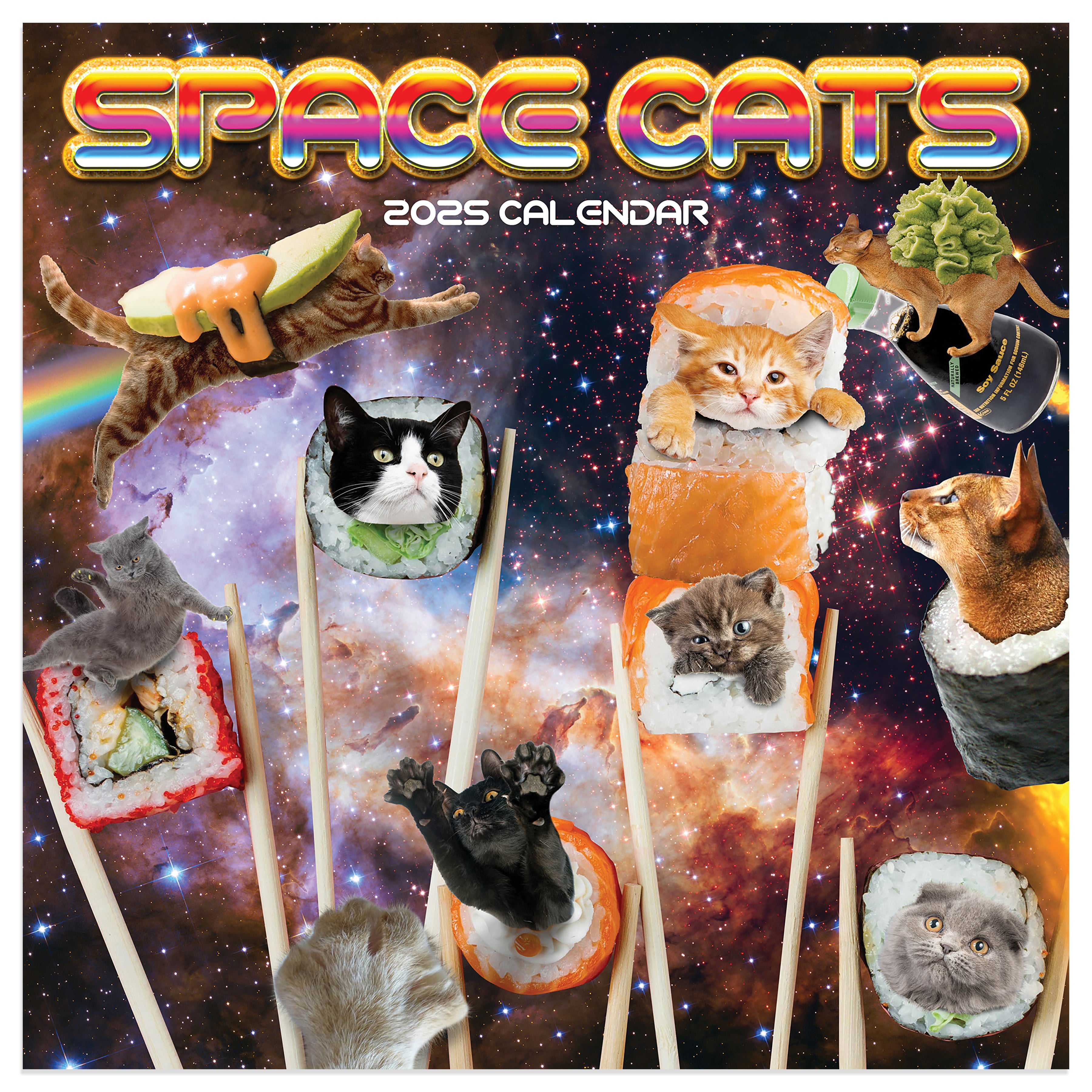 2025 Space Cats Mini Calendar SELWII