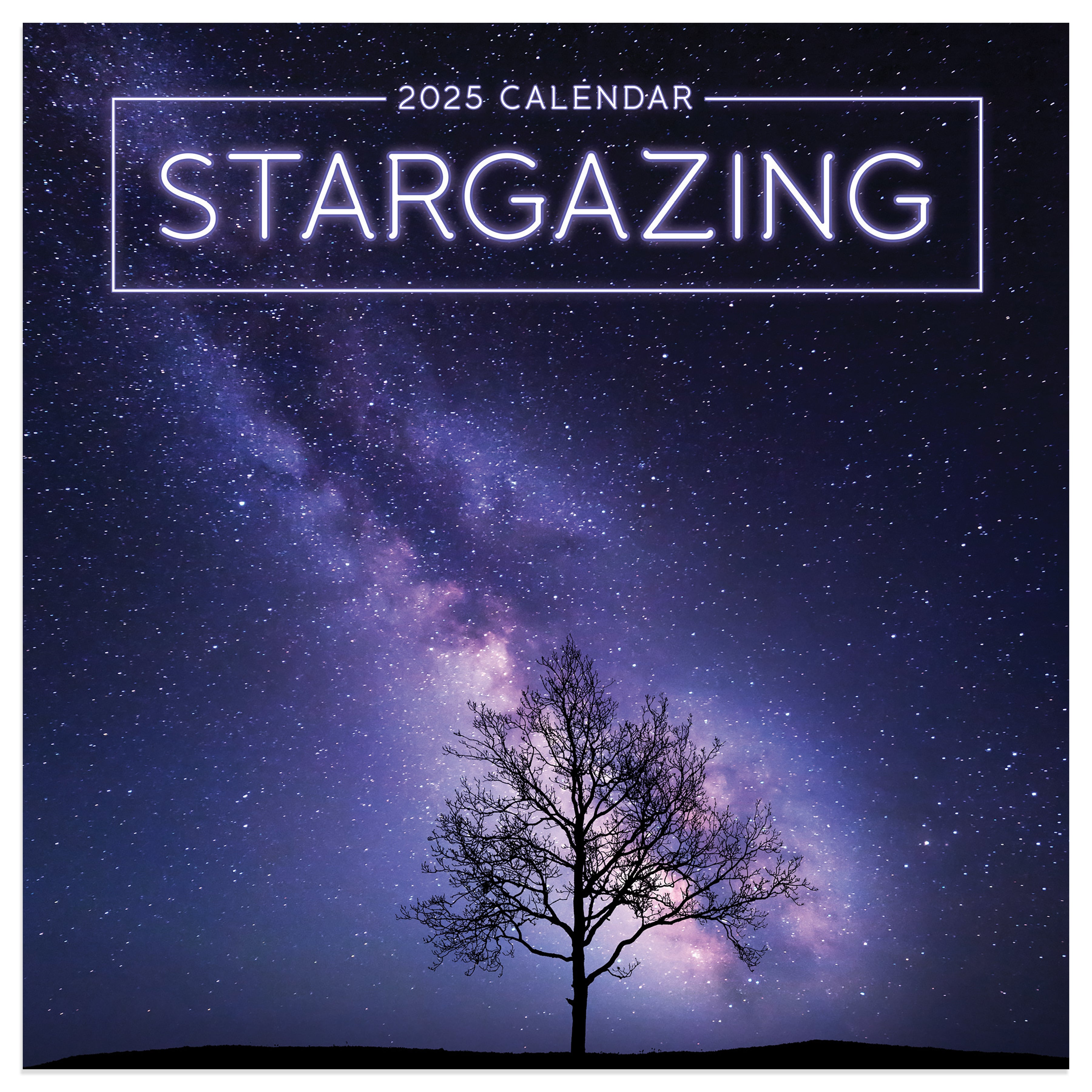 2025 Stargazing Mini Calendar SELWII