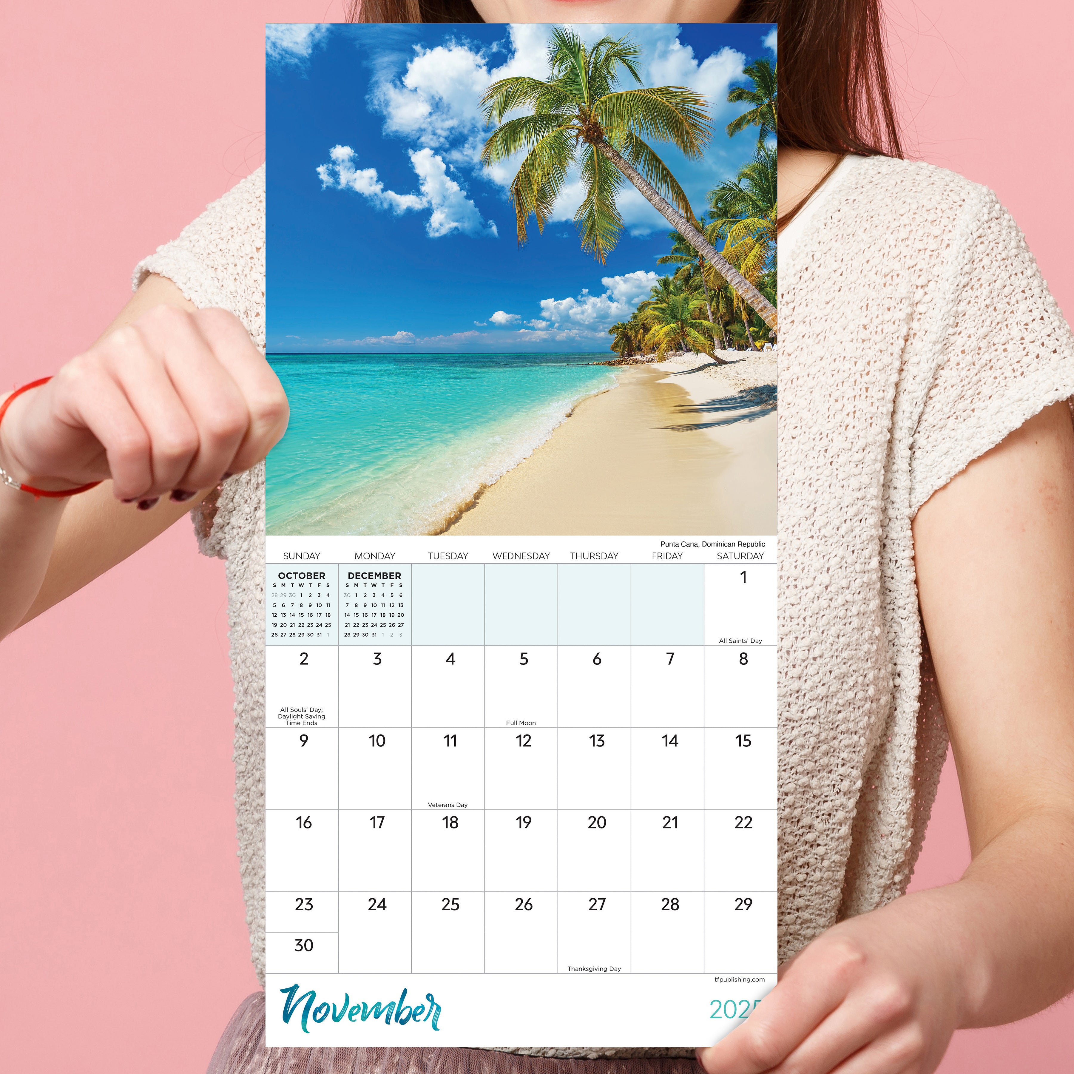 2025 Tropical Beaches Mini Calendar SELWII