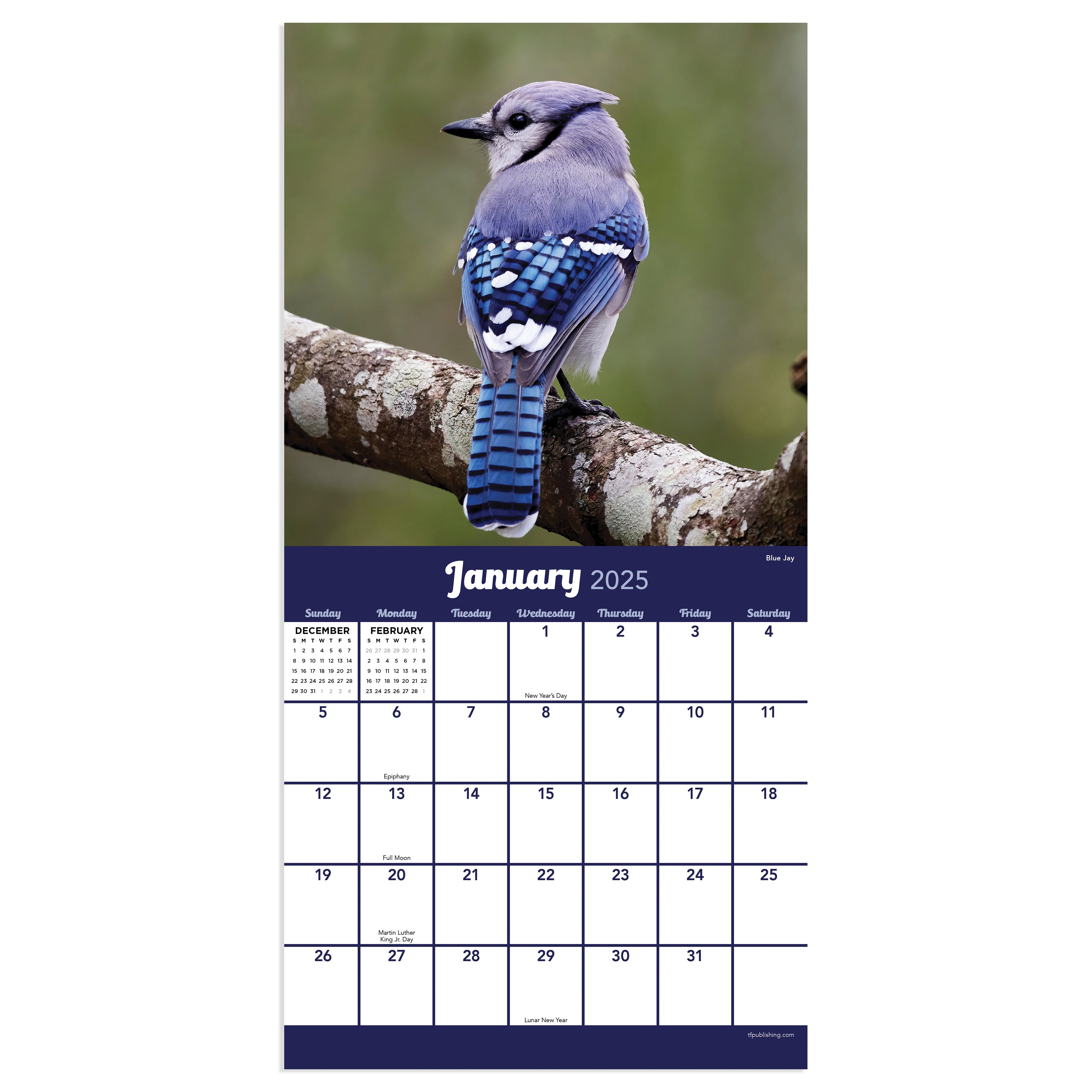 2025 Backyard Birds Mini Calendar SELWII