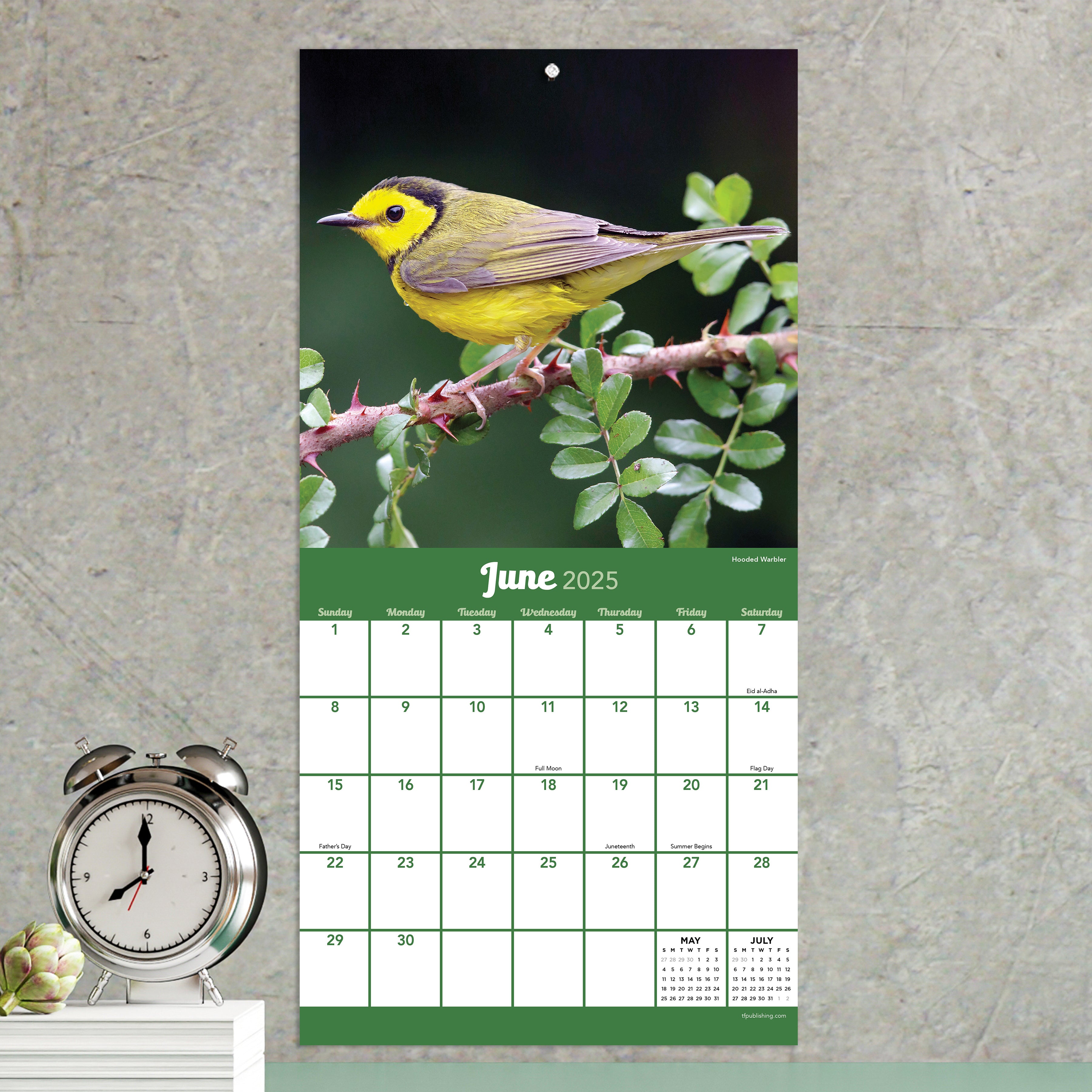 2025 Backyard Birds Mini Calendar SELWII