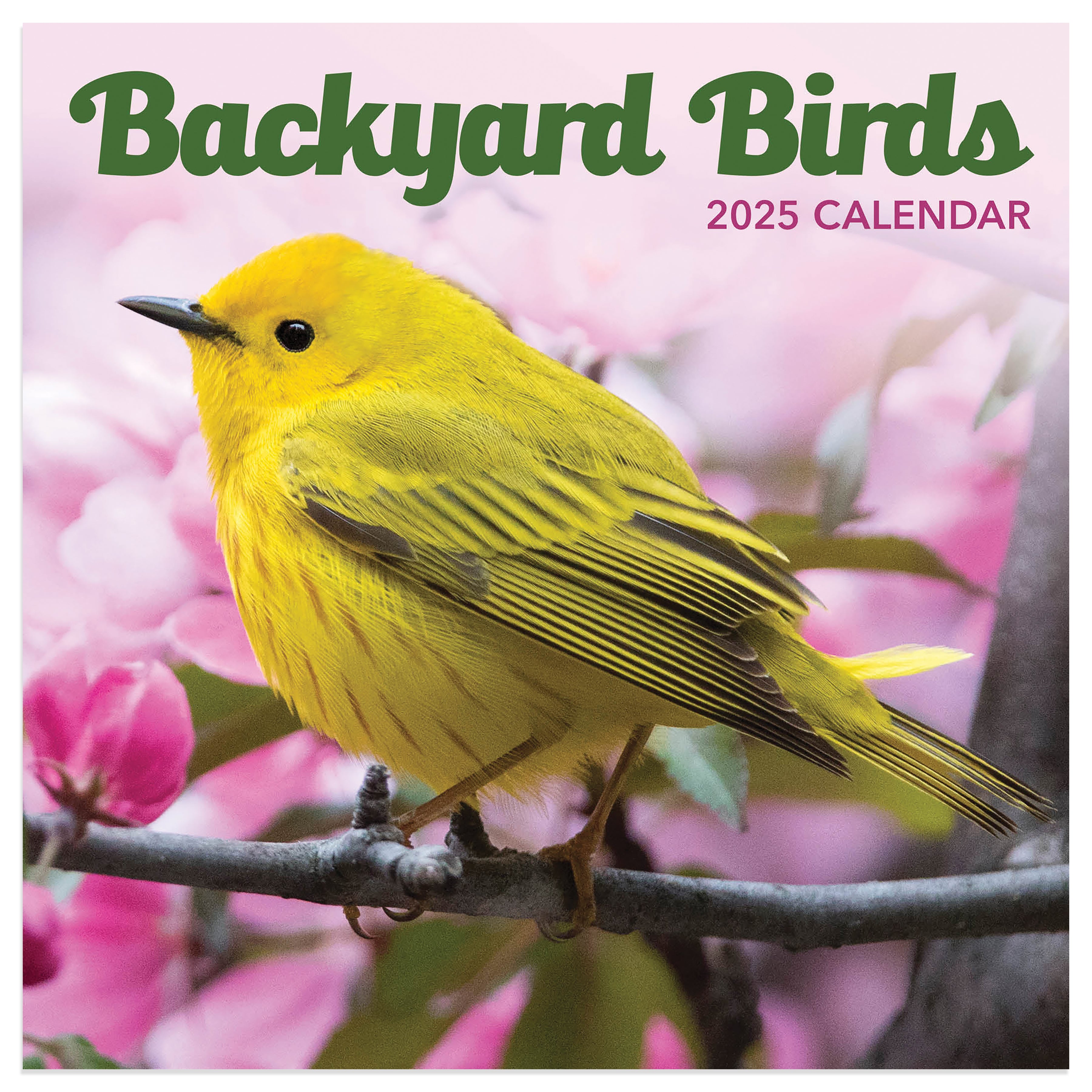 2025 Backyard Birds Mini Calendar SELWII