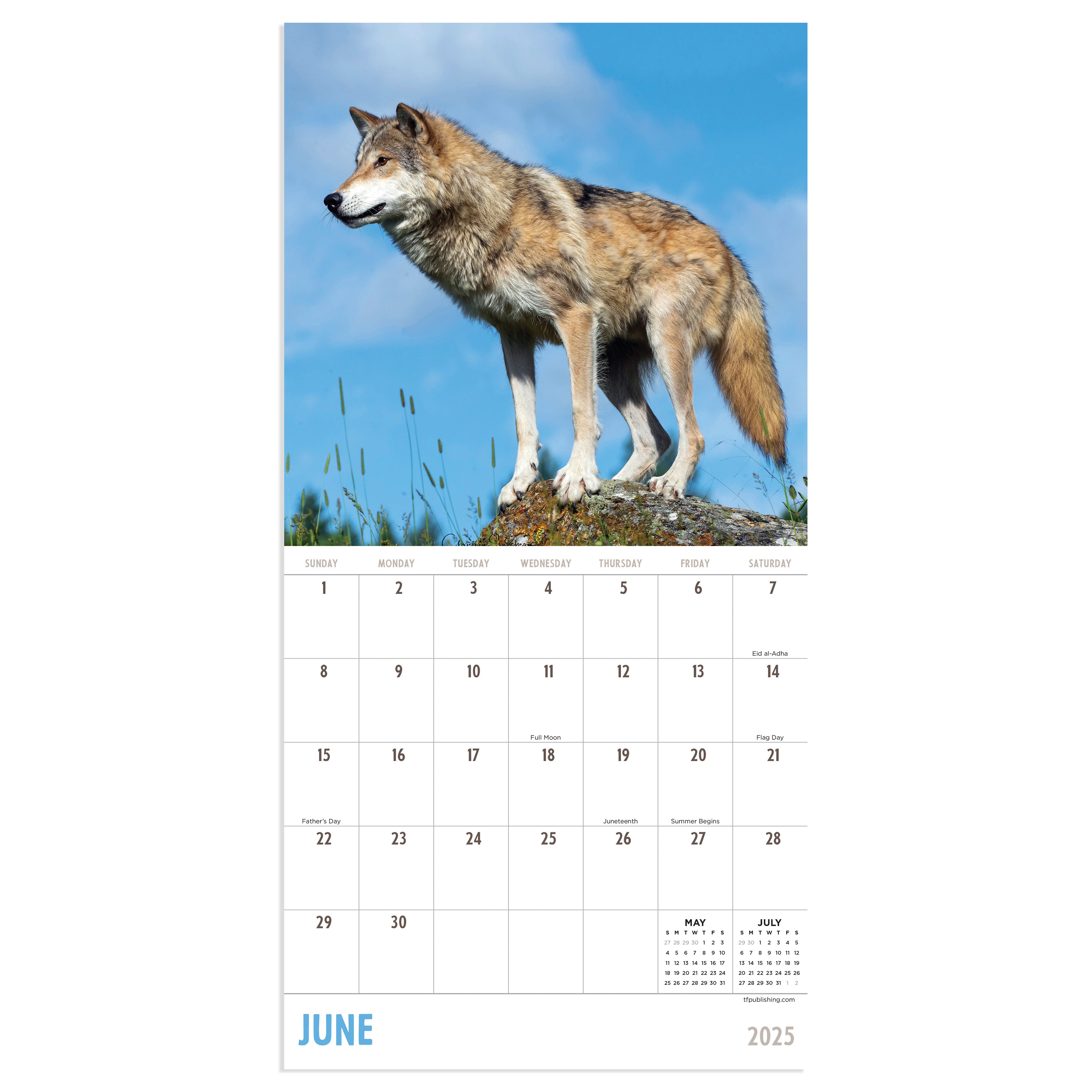 2025 Wolves Mini Calendar SELWII