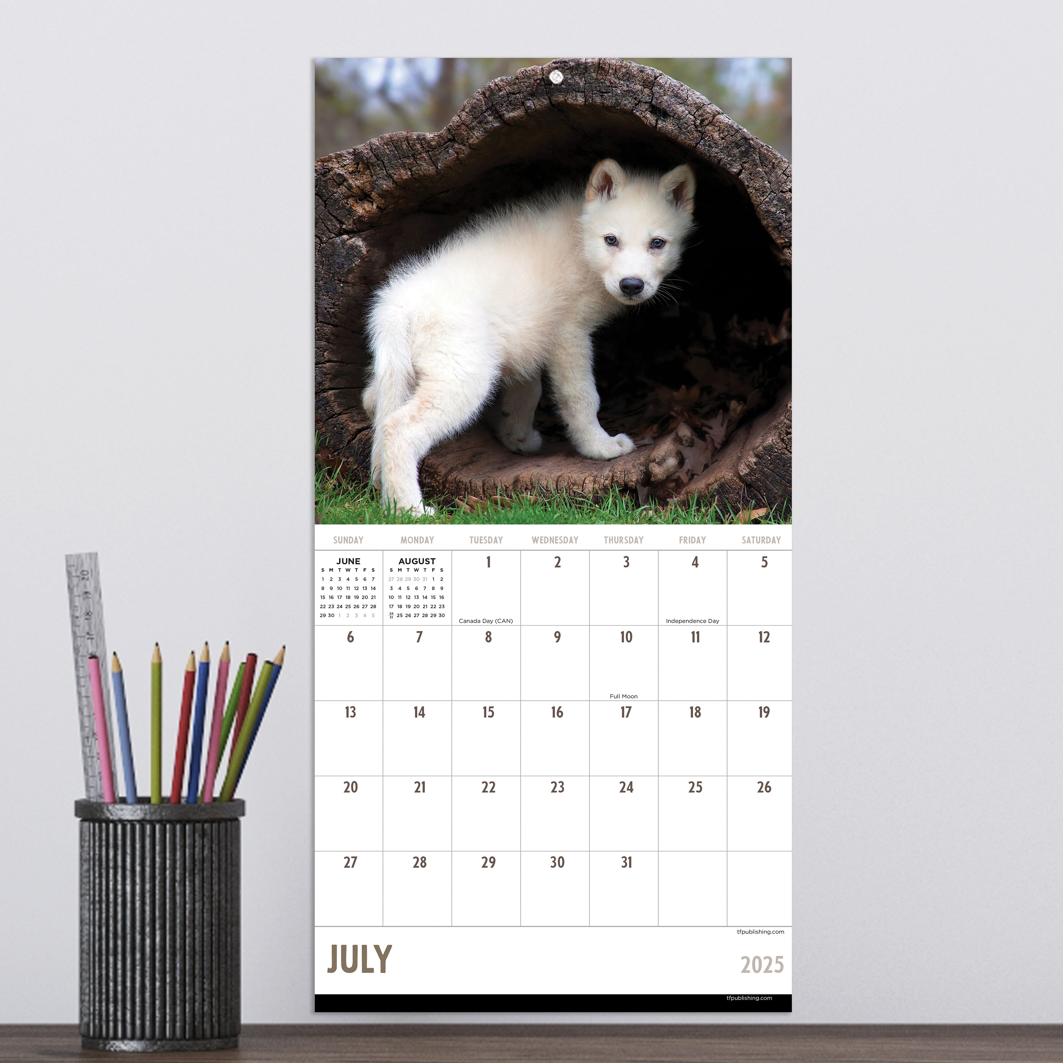 2025 Wolves Mini Calendar SELWII