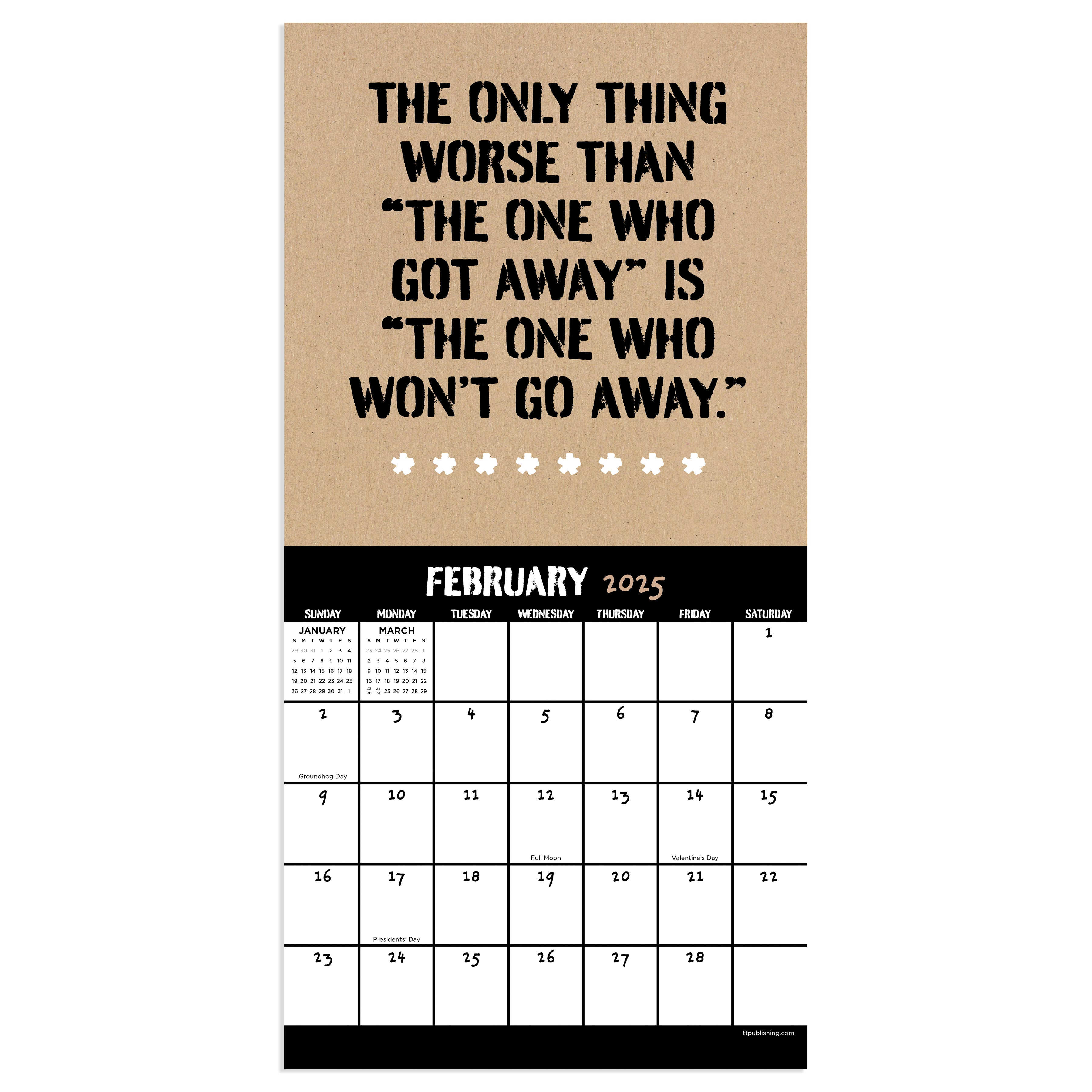 2025 Anti-Affirmations & Sarcasm Mini Calendar SELWII