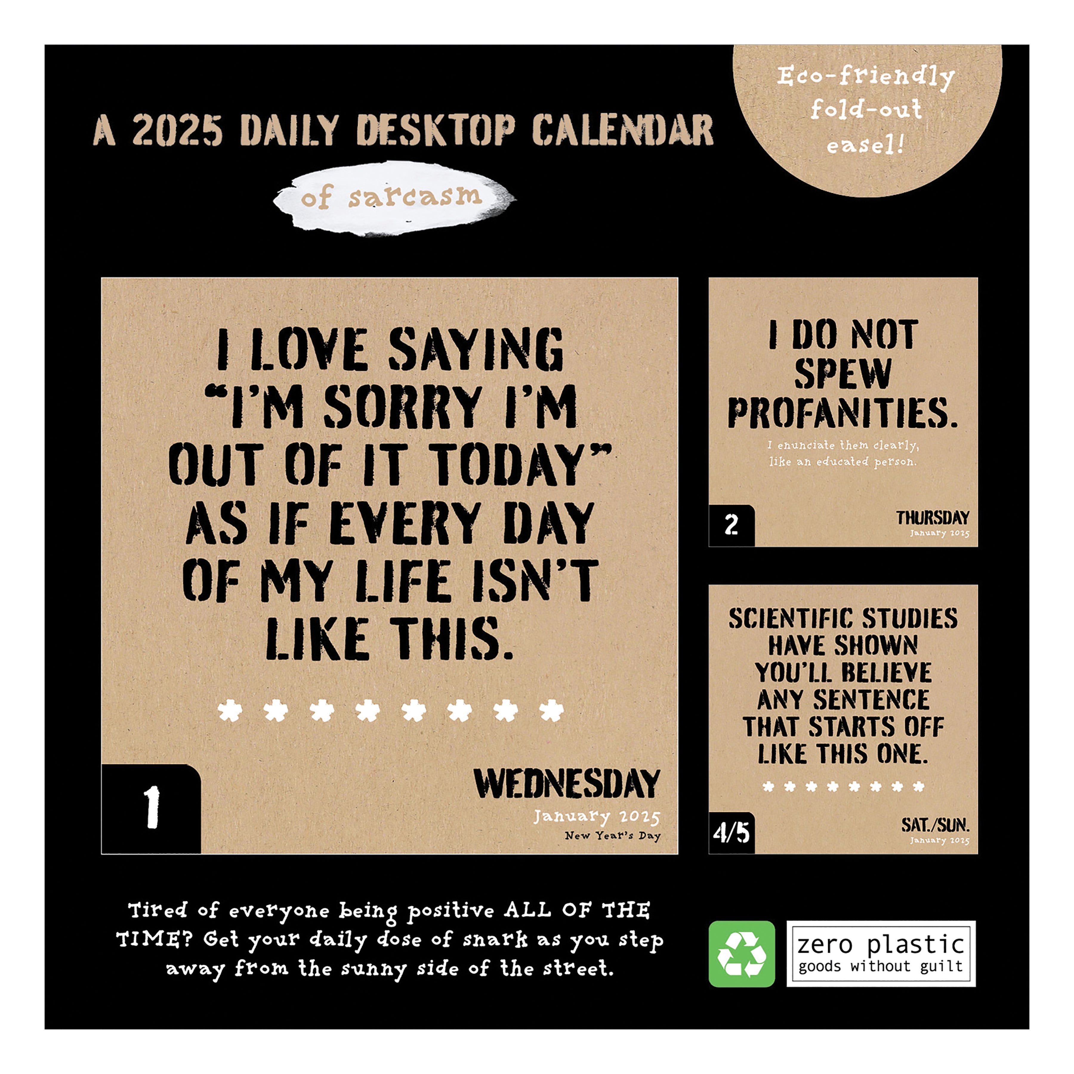 2025 Anti Affirmations Daily Desktop Calendar SELWII