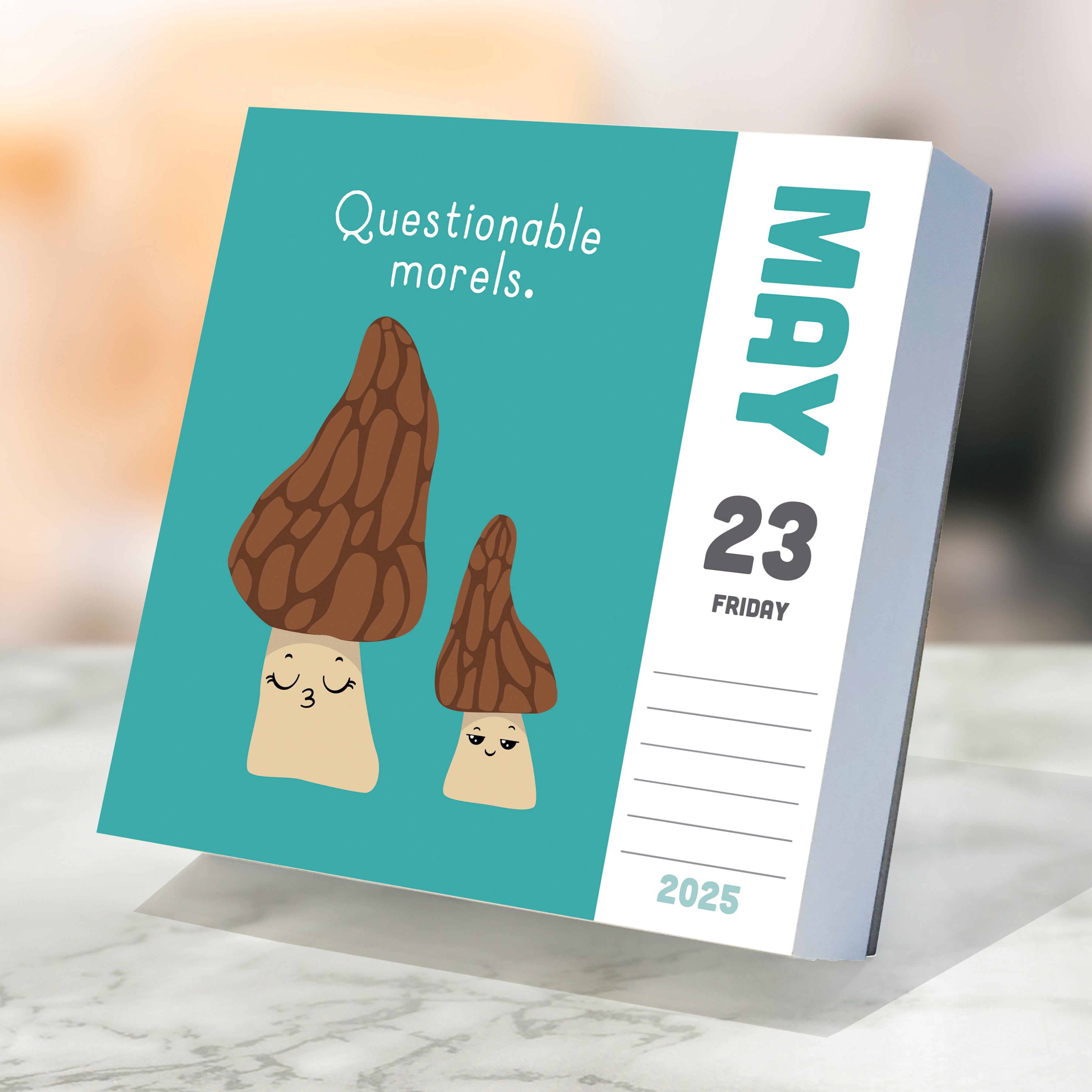 2025 Puns of Fun Daily Desktop Calendar SELWII