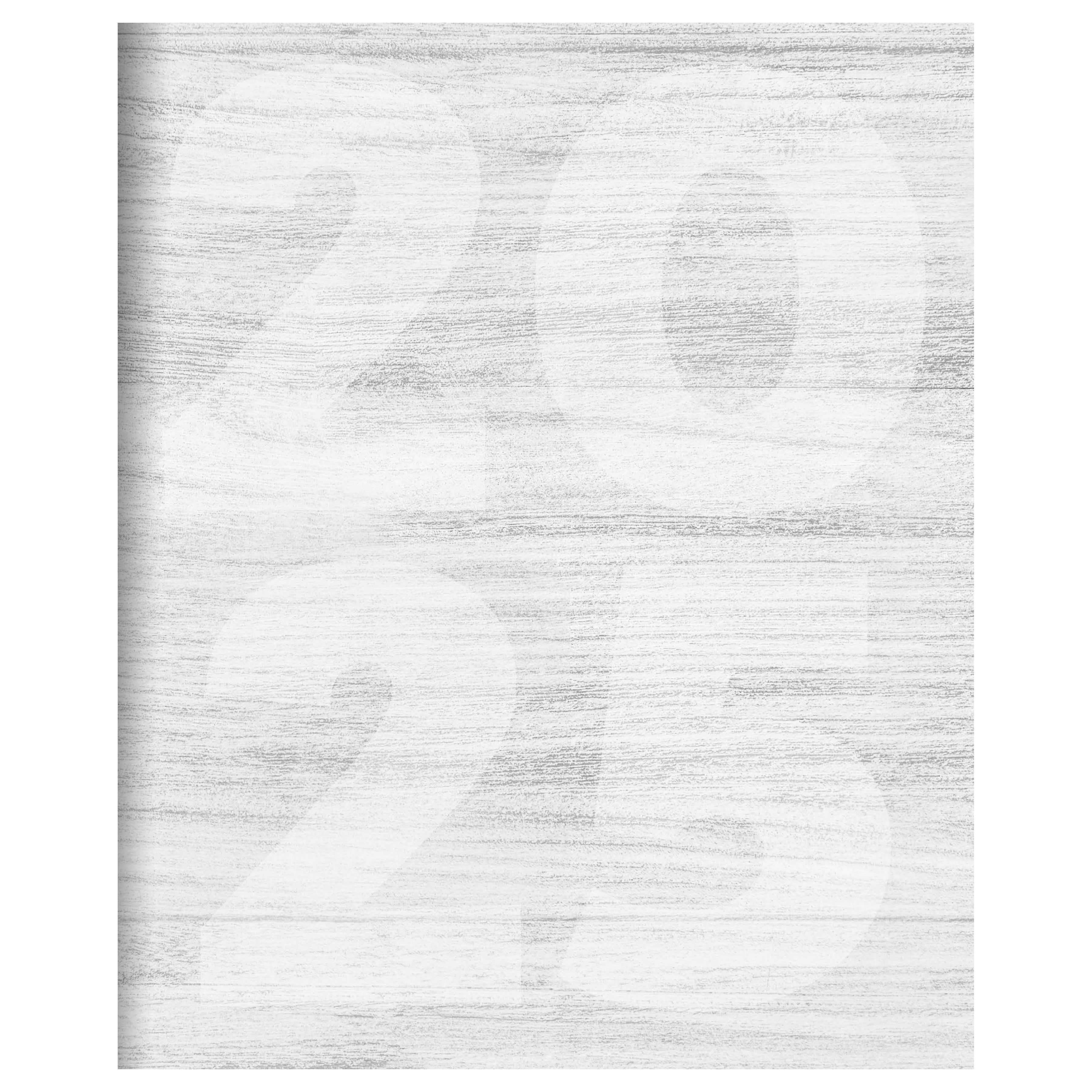 2025 Driftwood Large Monthly Planner SELWII