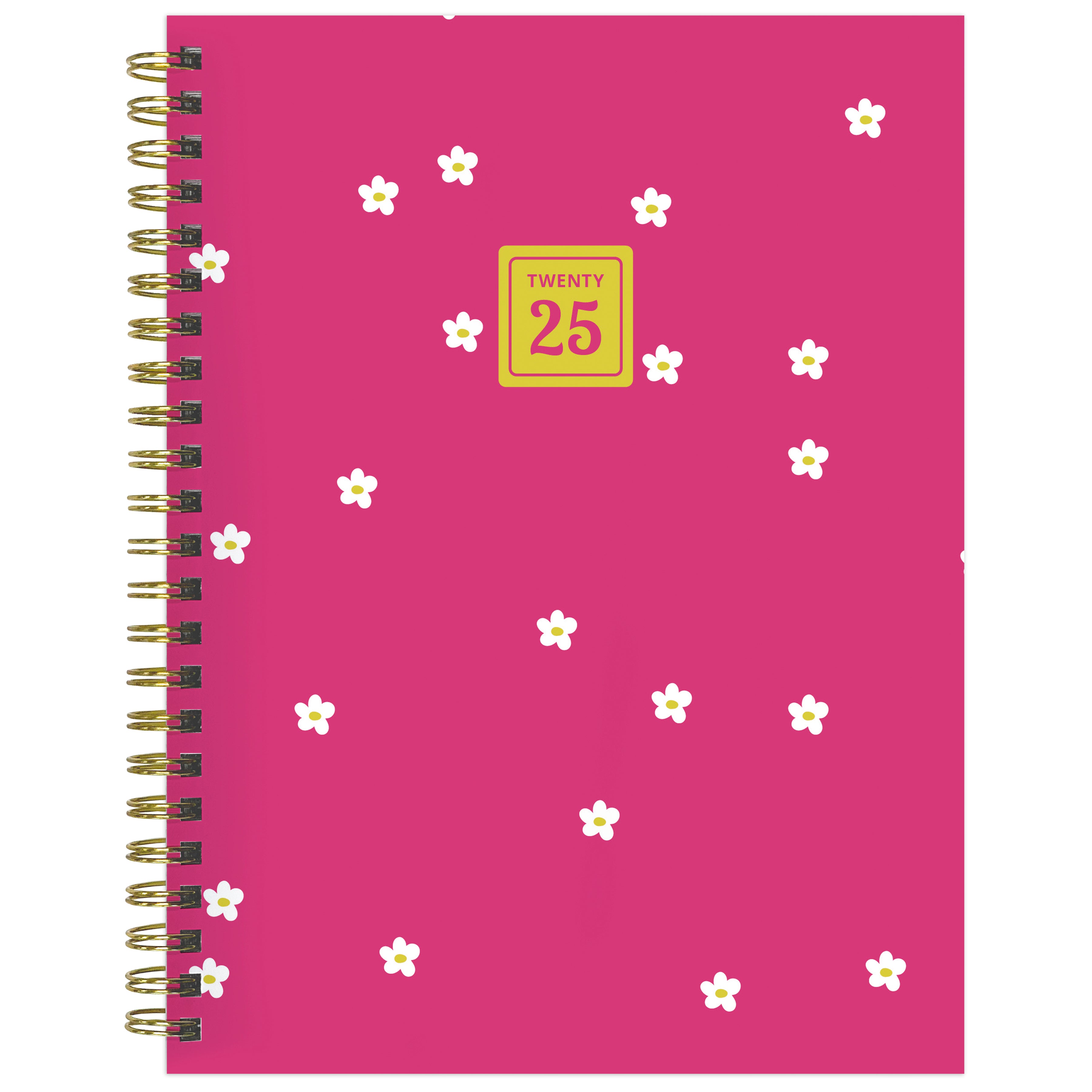 2025 Lil Buds Medium Weekly Monthly Planner SELWII