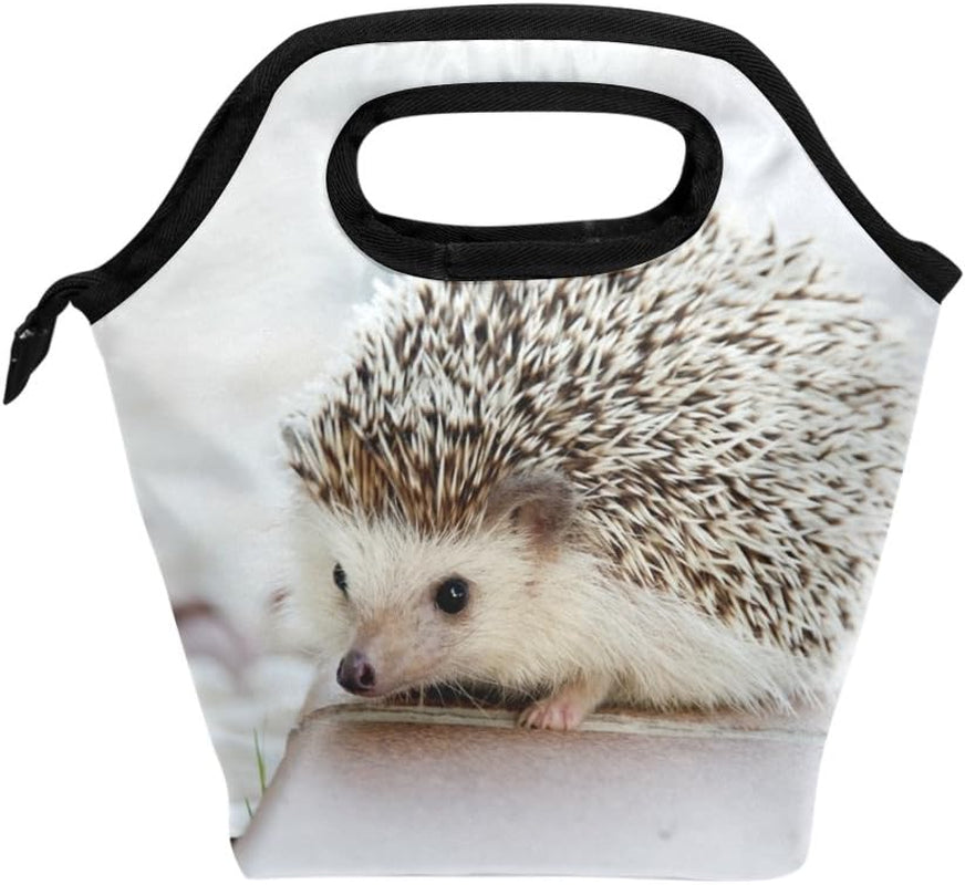 Lunch Bag Hedgehog Printed Neoprene Tote Reusable Insulated Waterproof School Picnic Carrying Gourmet Lunchbox Container Organizer for Men, Women, Adults, Kids, Girls, Boys