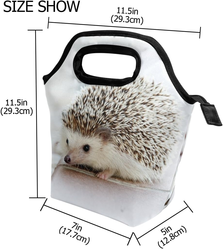 Lunch Bag Hedgehog Printed Neoprene Tote Reusable Insulated Waterproof School Picnic Carrying Gourmet Lunchbox Container Organizer for Men, Women, Adults, Kids, Girls, Boys