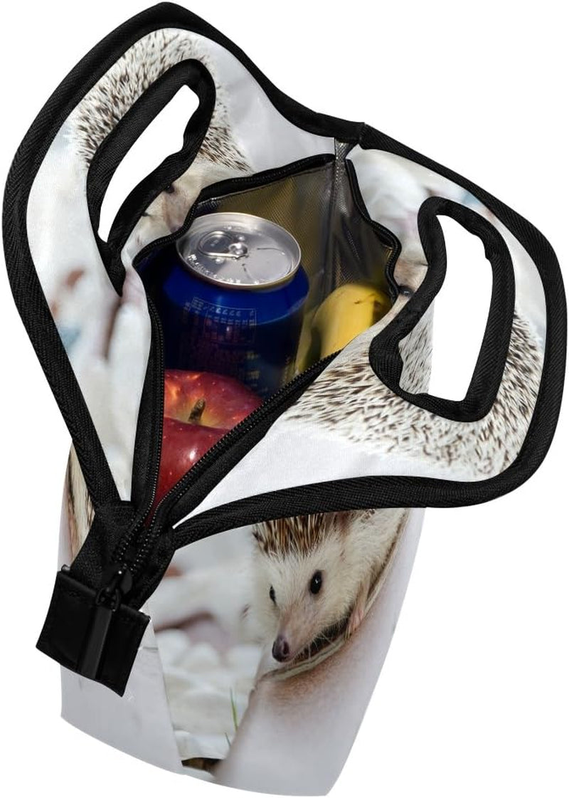 Lunch Bag Hedgehog Printed Neoprene Tote Reusable Insulated Waterproof School Picnic Carrying Gourmet Lunchbox Container Organizer for Men, Women, Adults, Kids, Girls, Boys