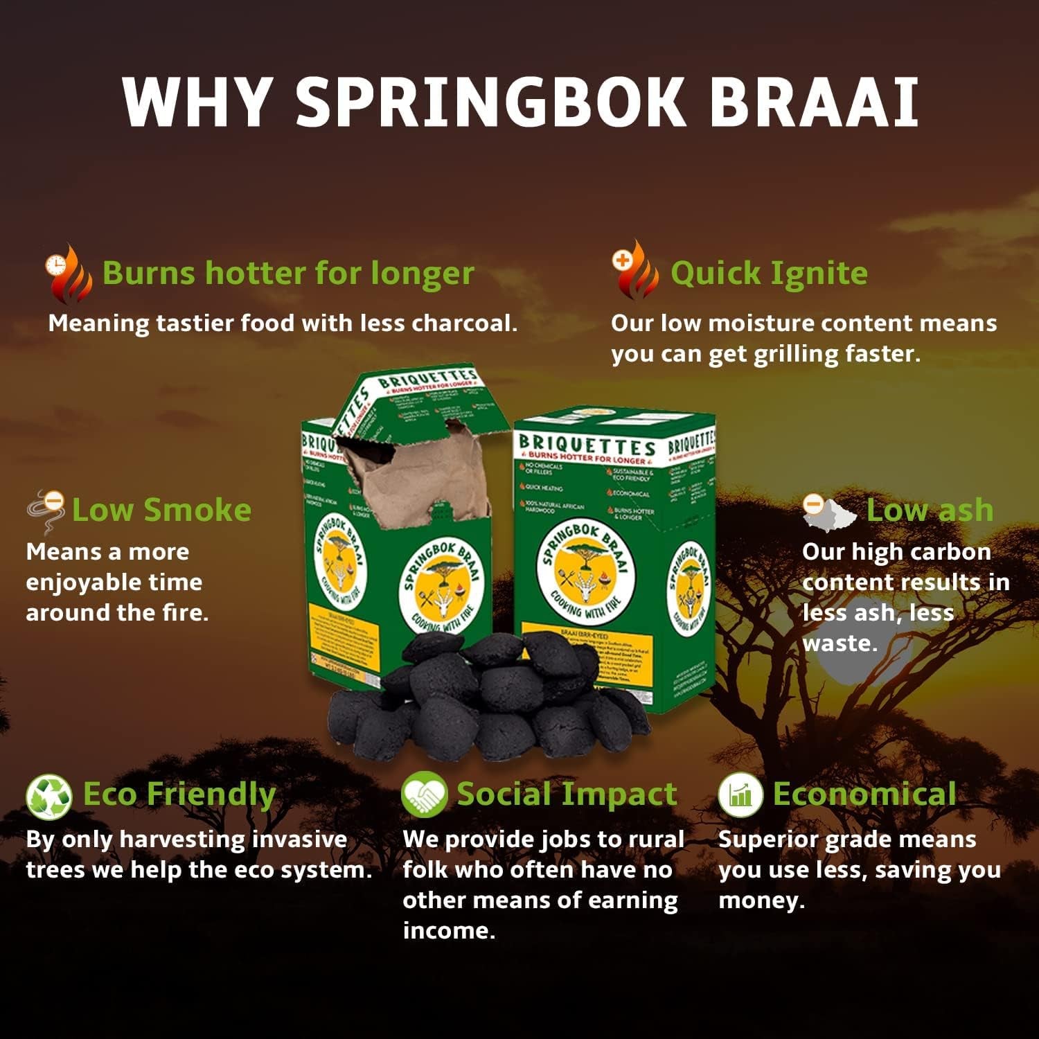 Eco-Friendly Springbok Braai