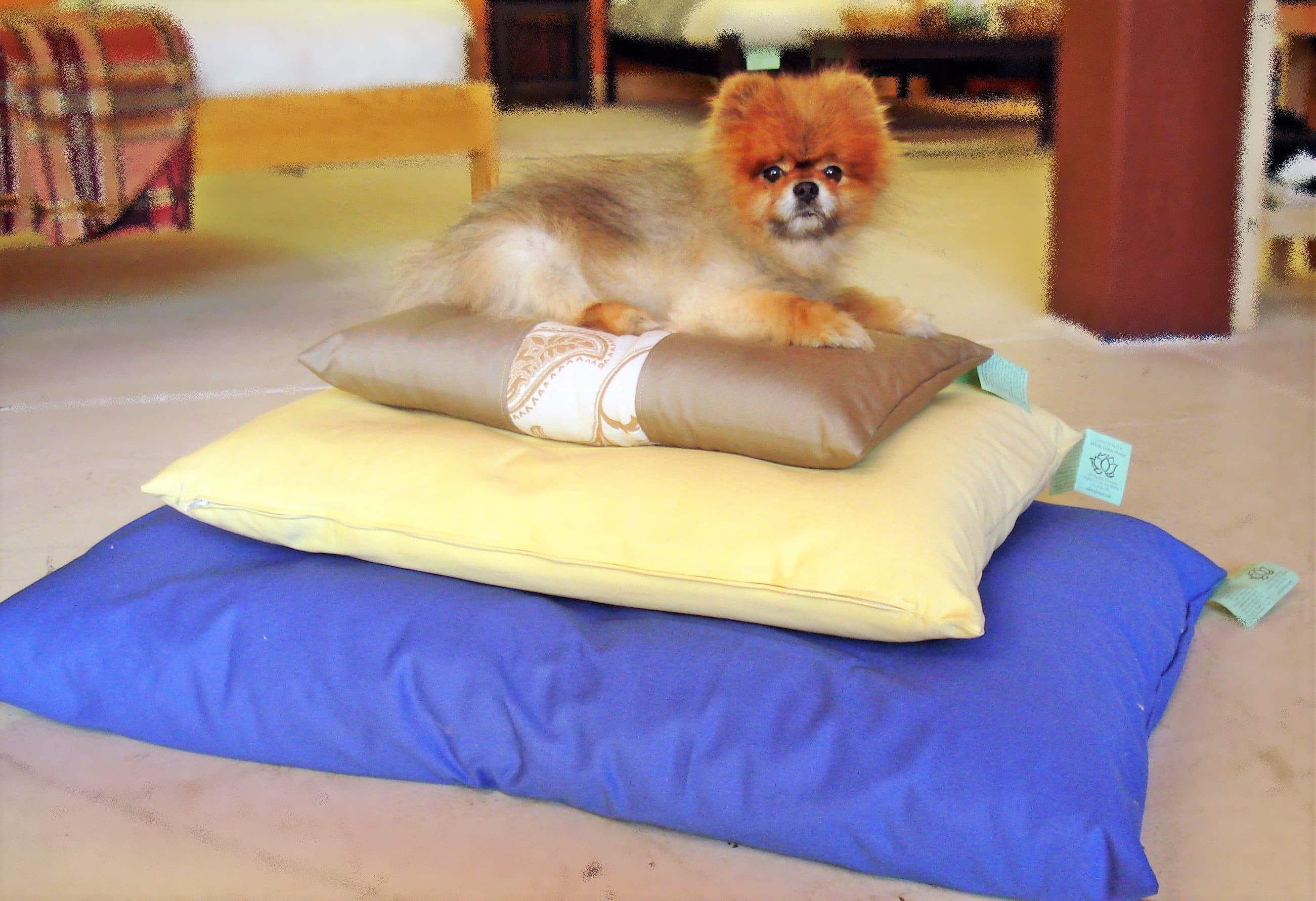 Green Cotton Pet Bed with Cover SELWII