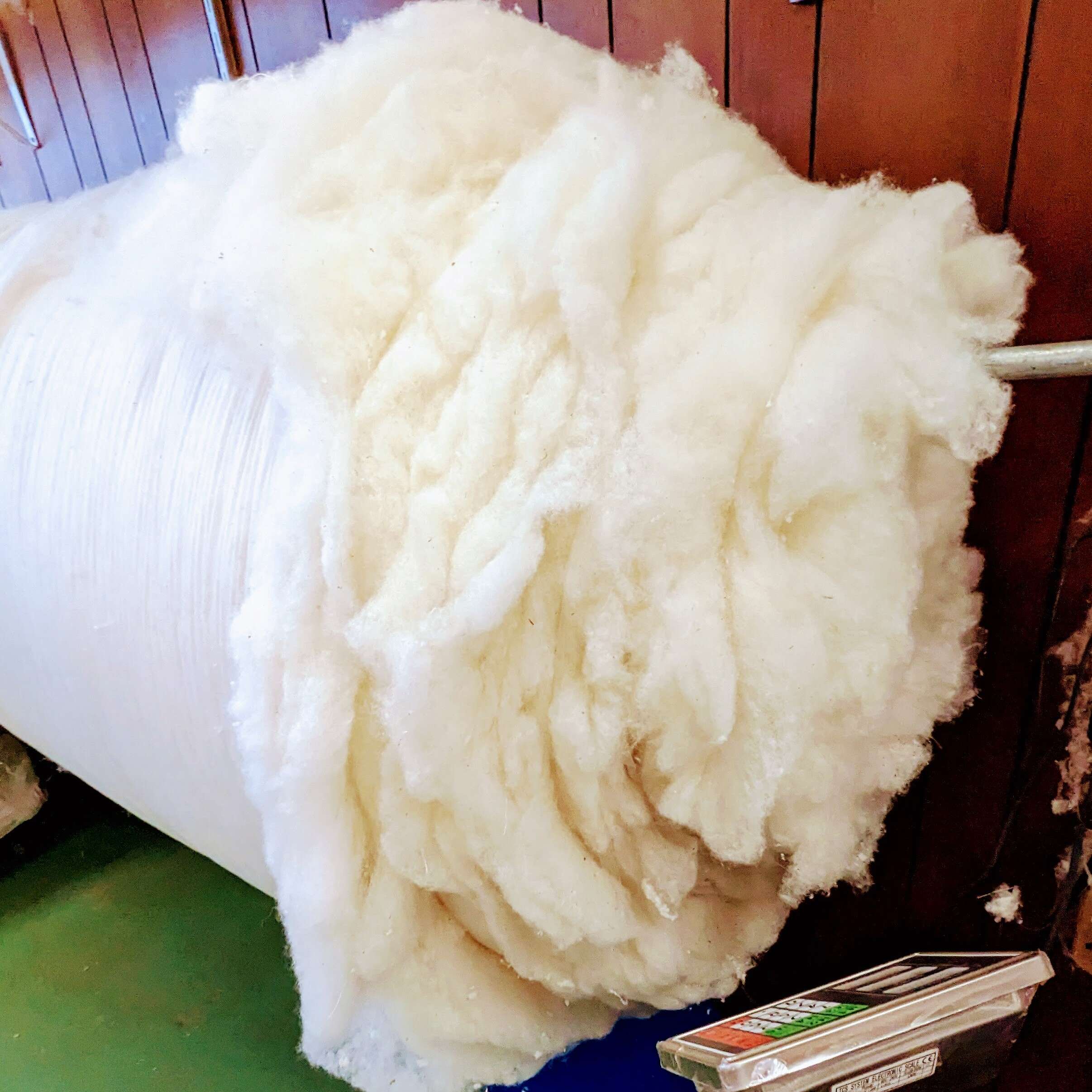 Wholesale GOTS Organic Wool SELWII